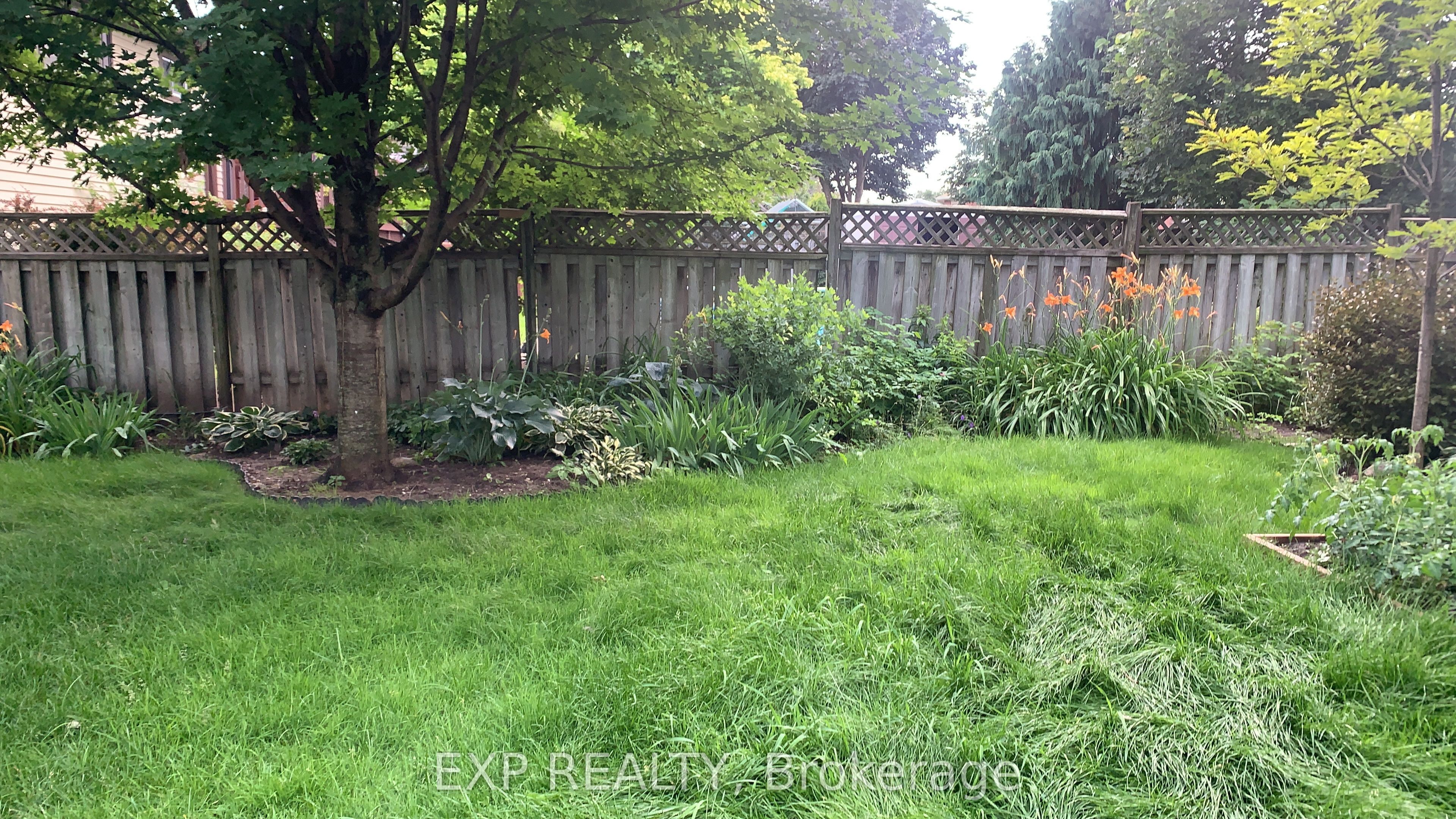 113 Oren Boulevard Property Photo 11