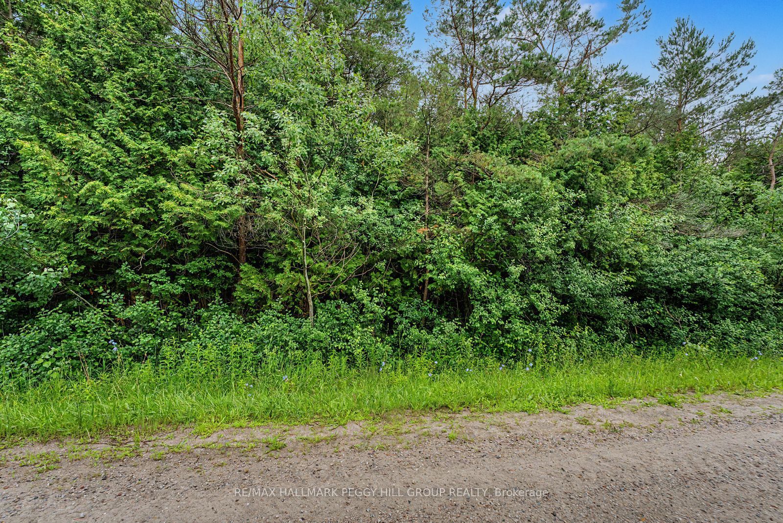 1659 County Road 92 Property Photo 4
