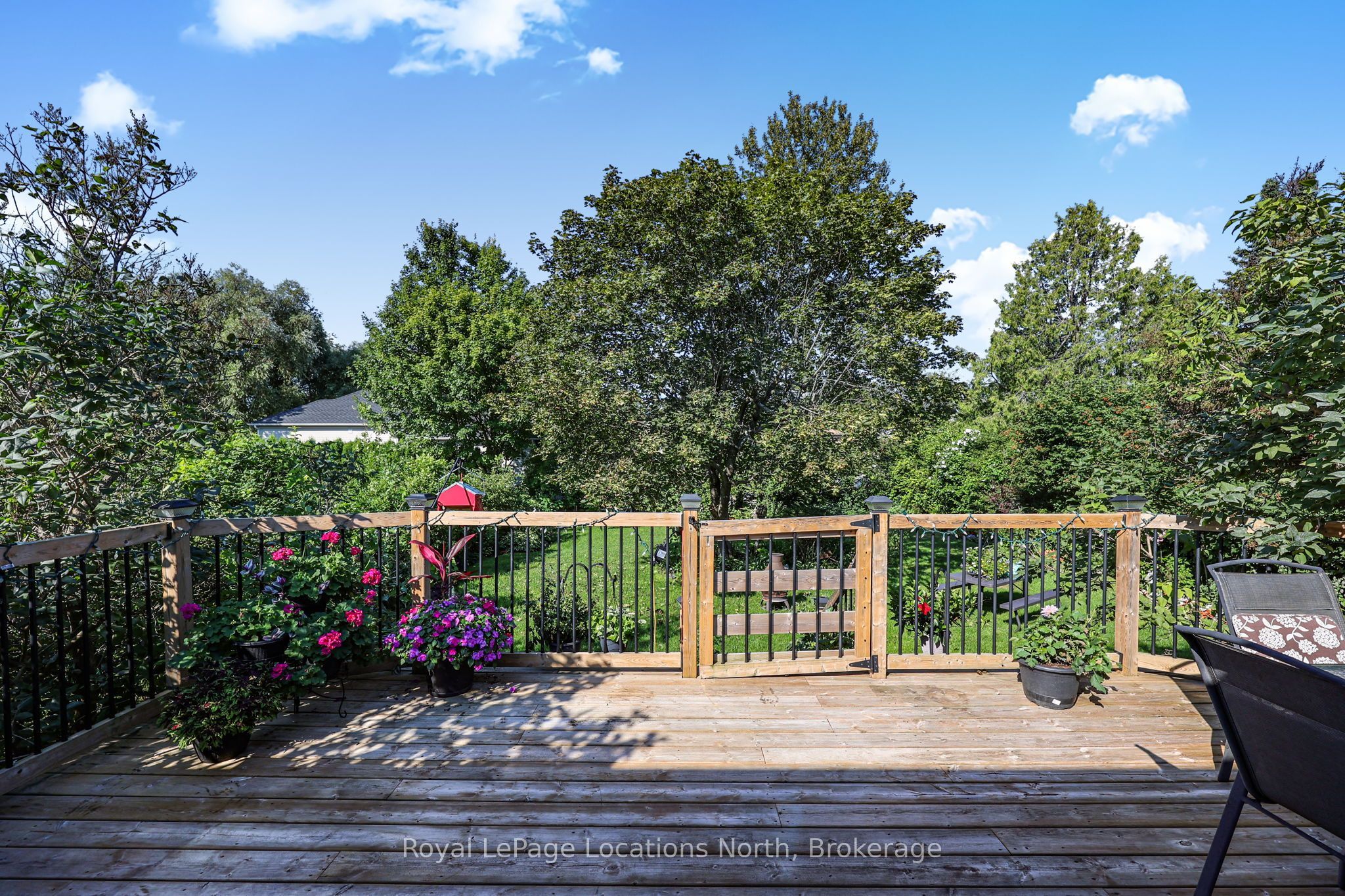66 Royal Beech Drive Property Photo 32