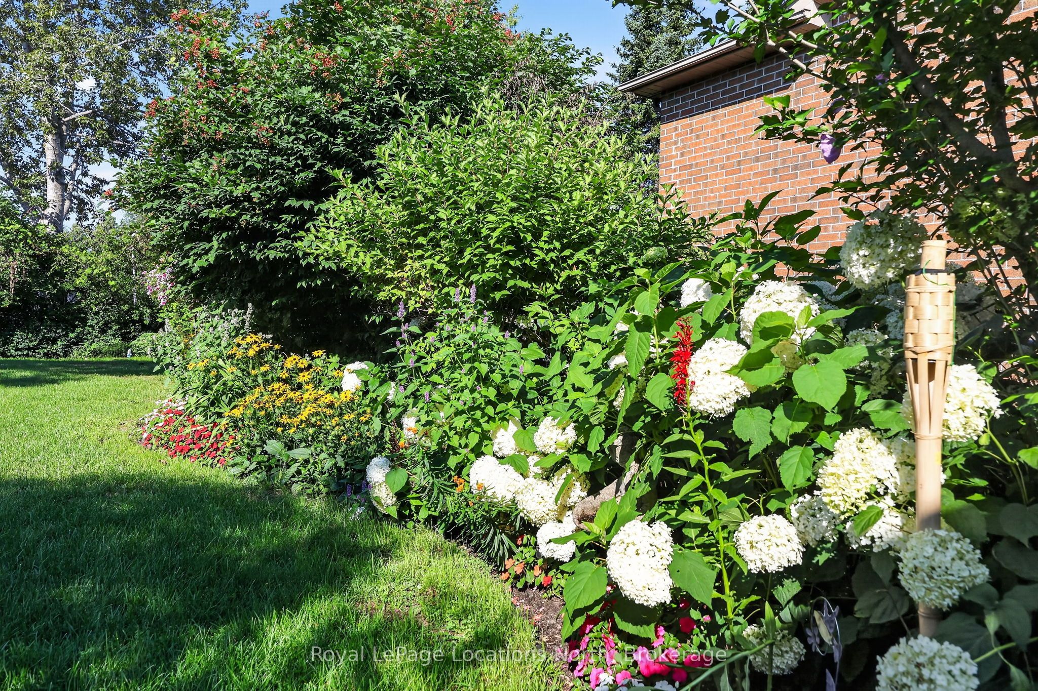 66 Royal Beech Drive Property Photo 34
