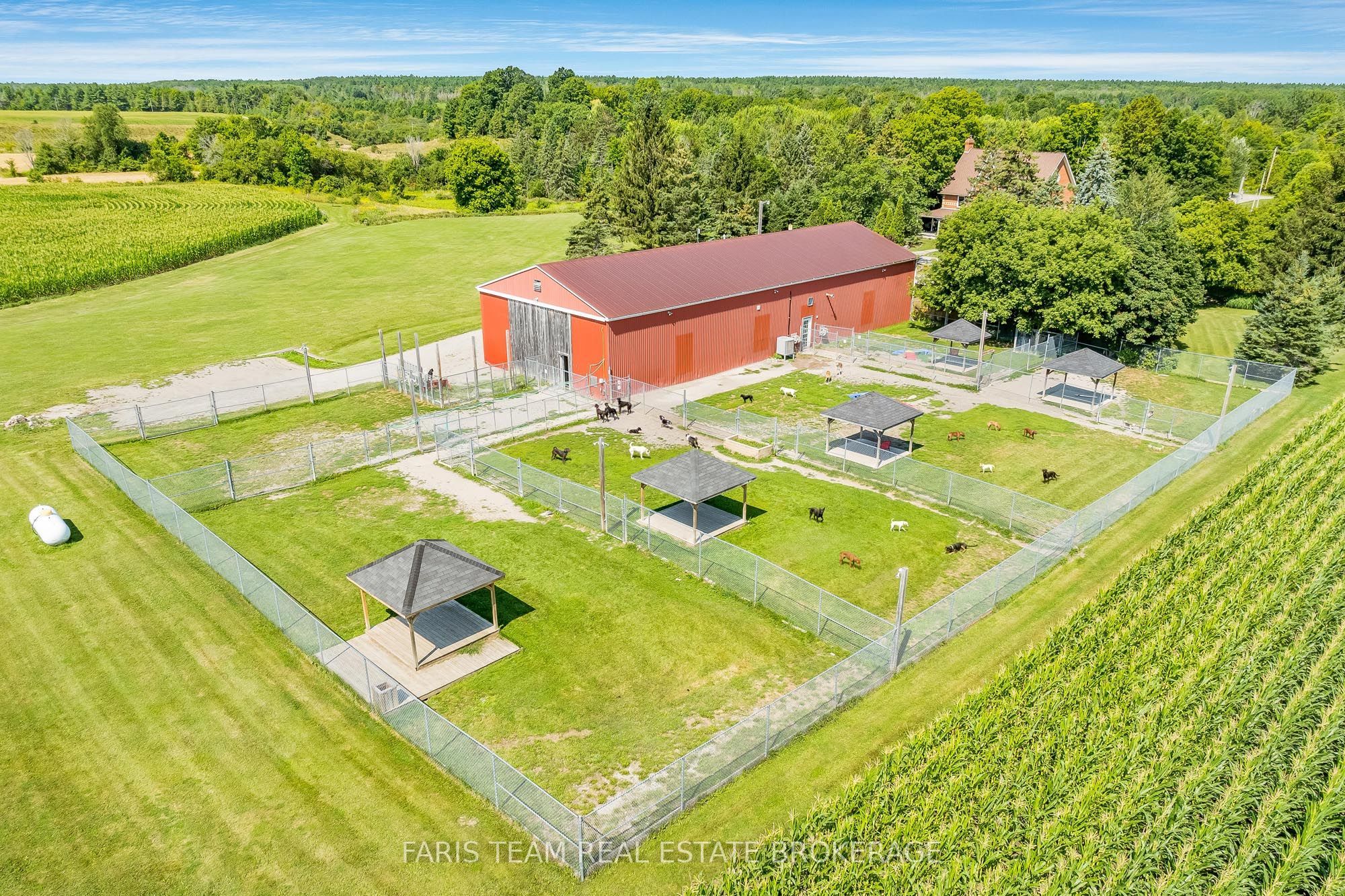 301 Concession 4 Road E Property Photo 47