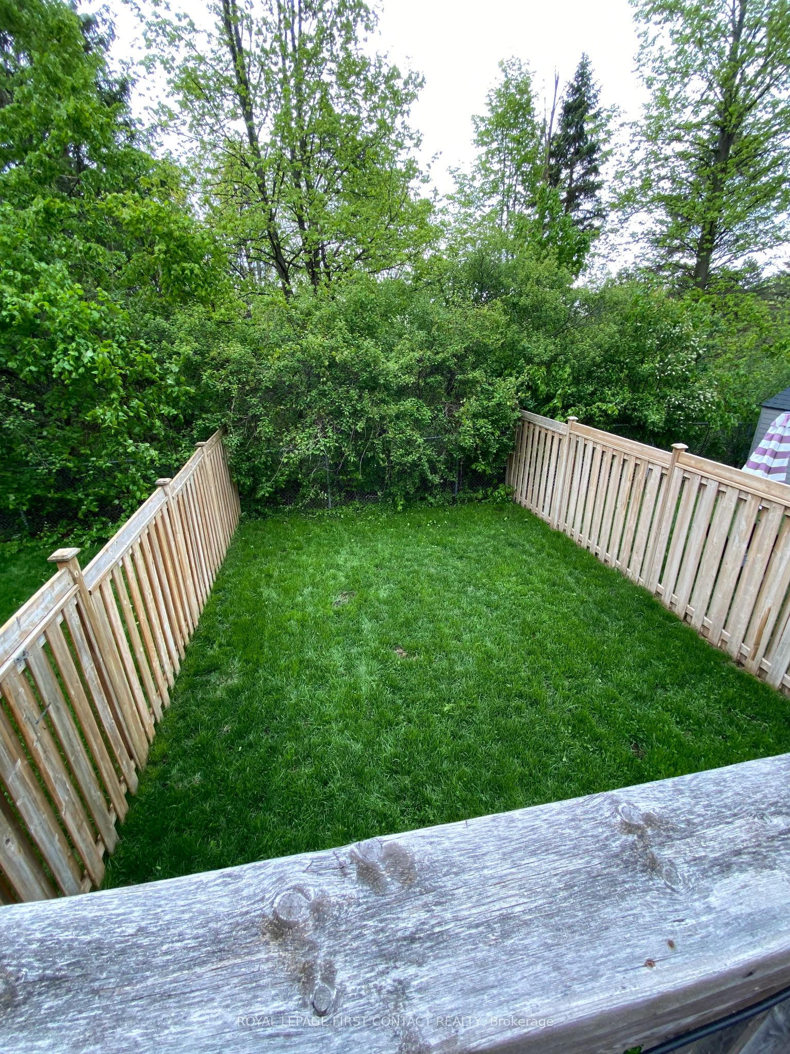 63 Sydenham Property Photo 15
