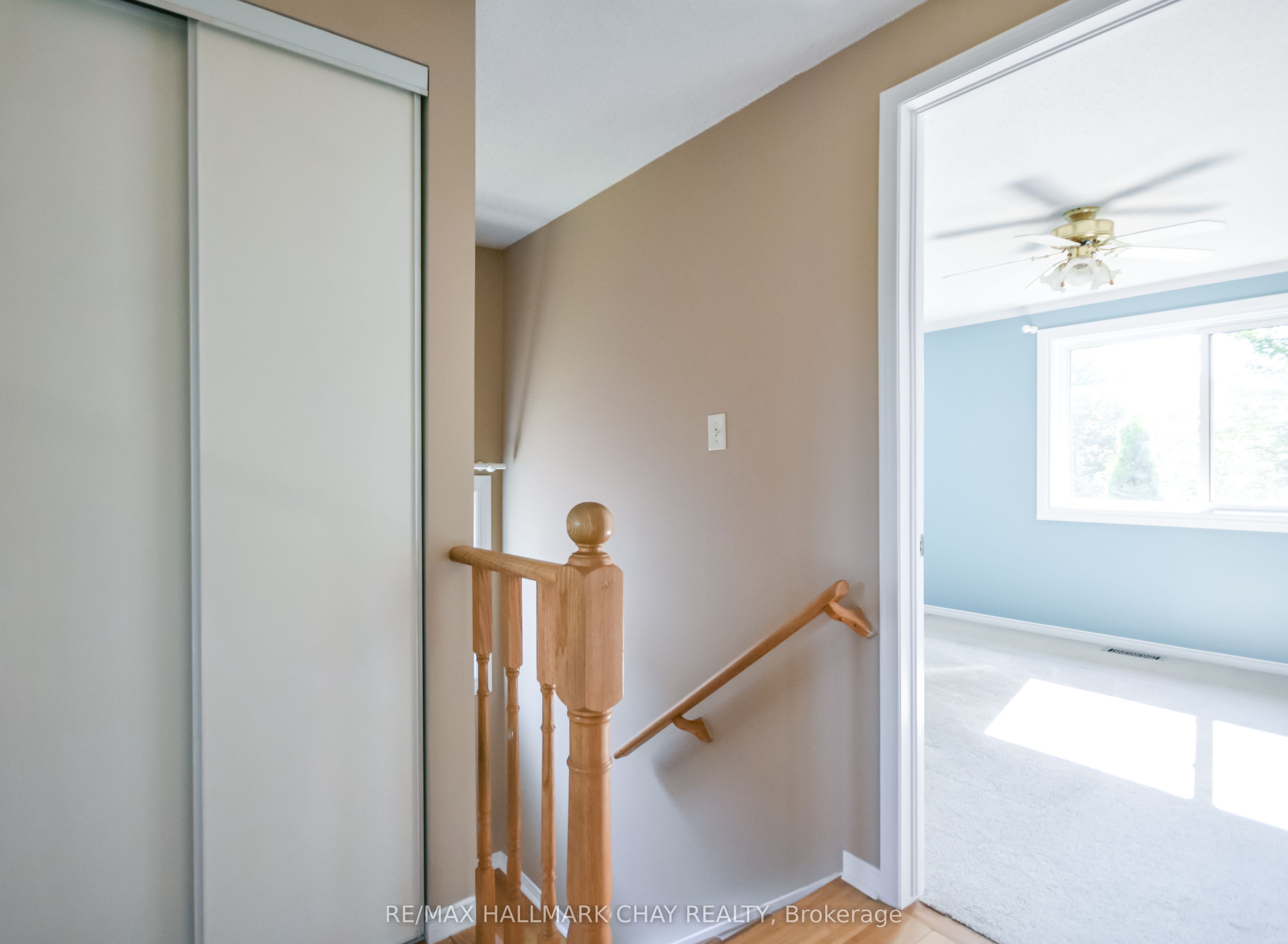 17 Srigley Street Property Photo 29
