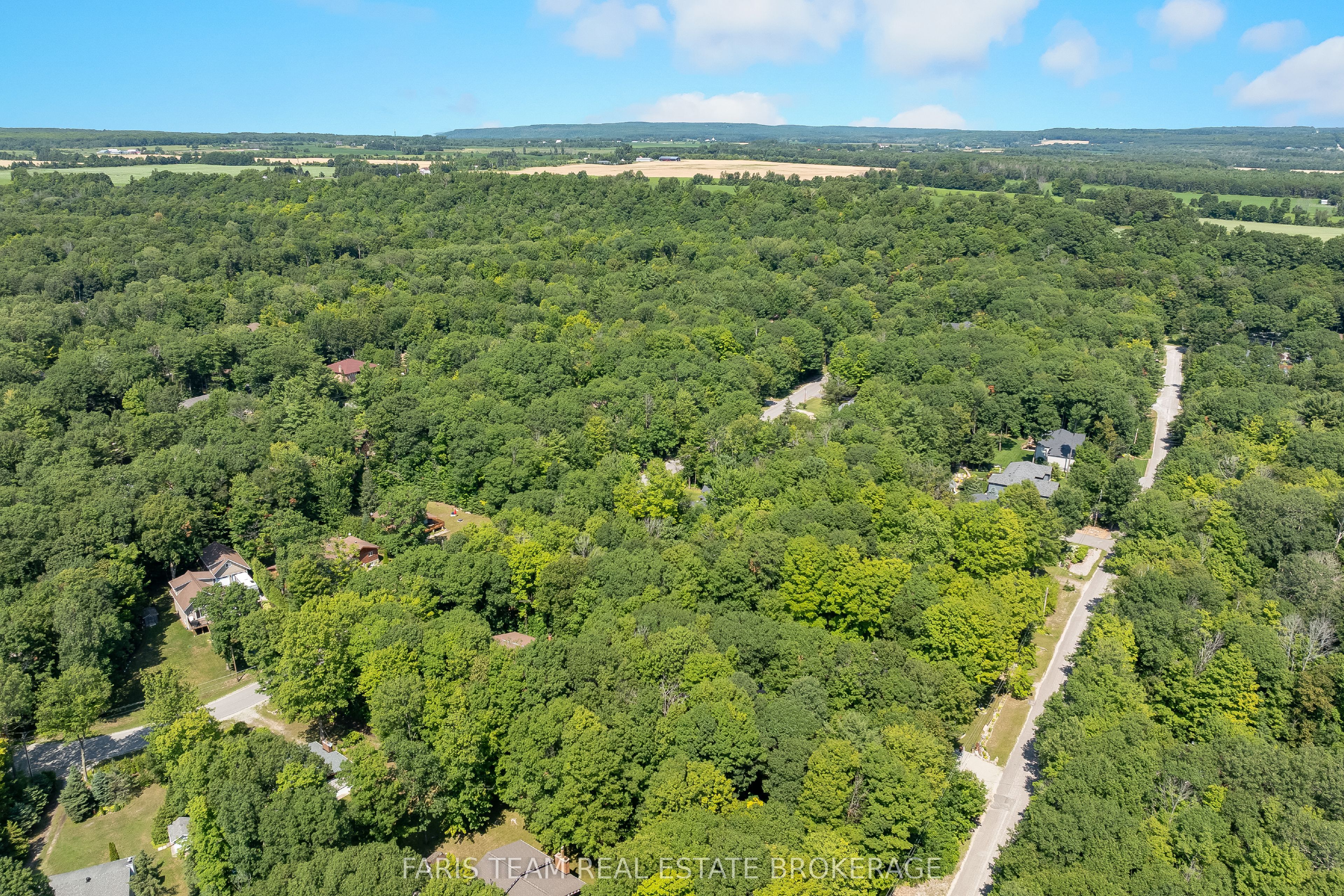 41 Tall Pines Drive Property Photo 45