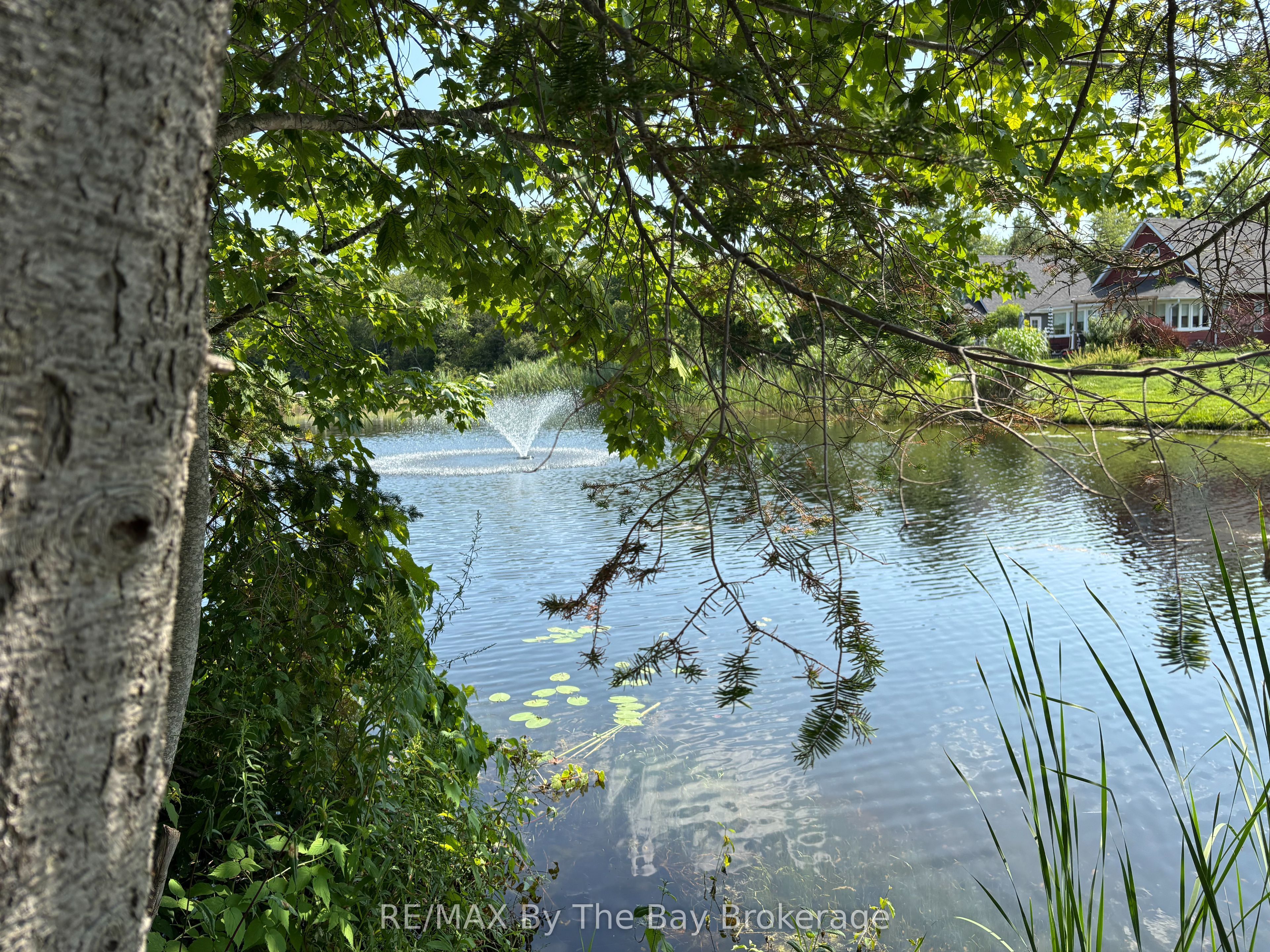 9 White Pines Trail Property Photo 4