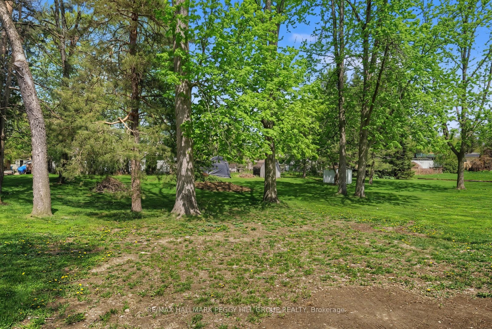 22 Olive Crescent Property Photo 14