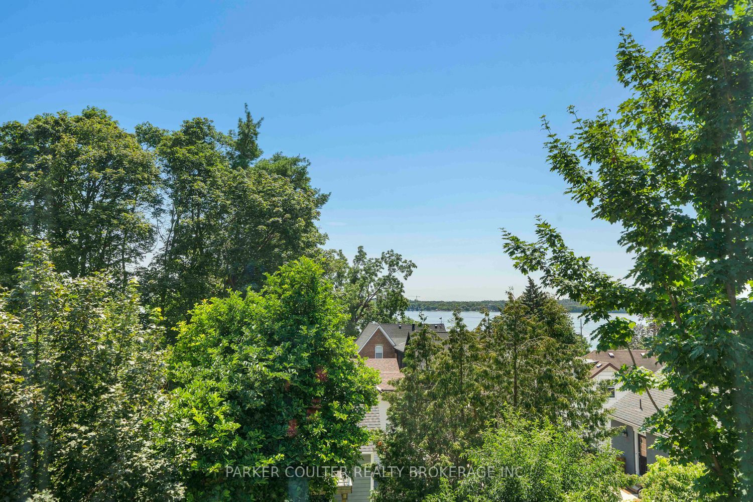 79 Blake Street Property Photo 31