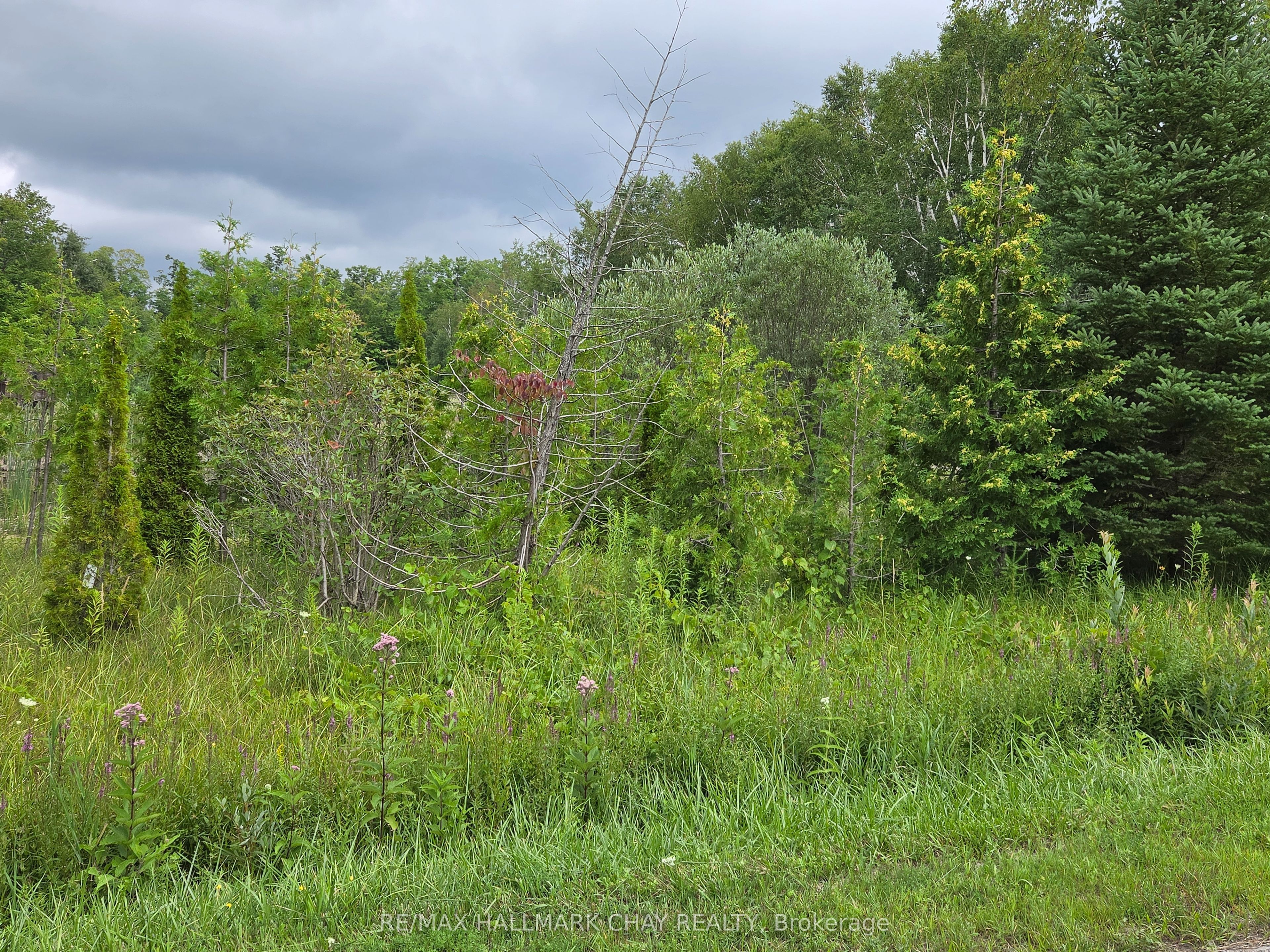 1017 Line 8 North Line Property Photo 6