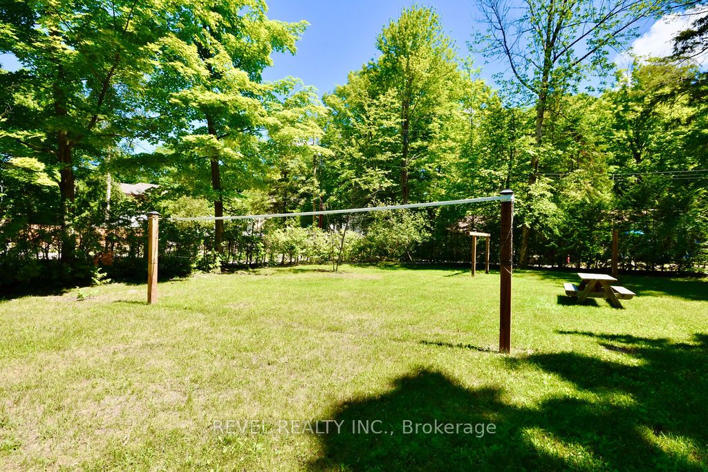 39 Domar Road Property Photo 33