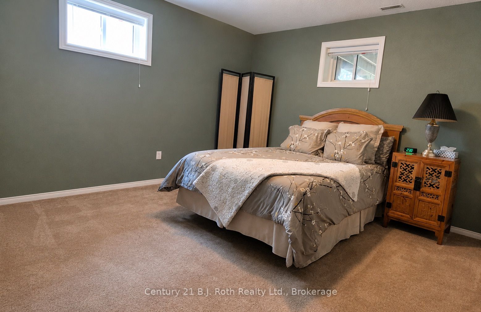 116 Dyer Drive Property Photo 18