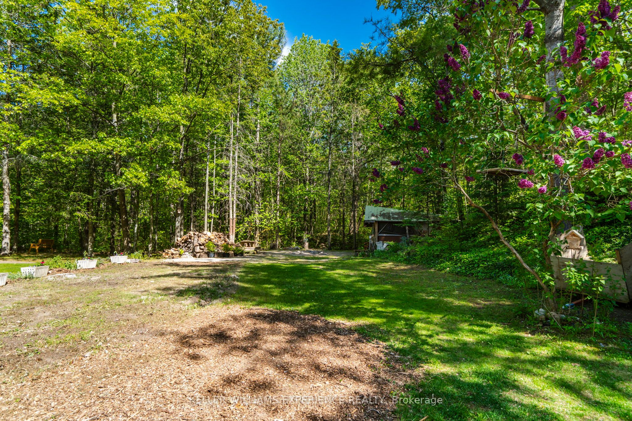 181 Park Road Property Photo 5