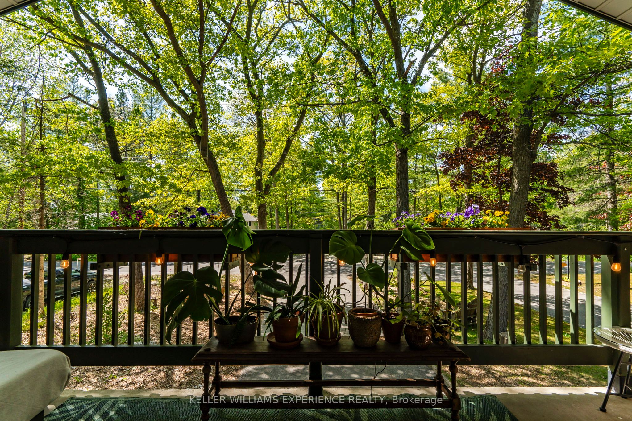 181 Park Road Property Photo 28