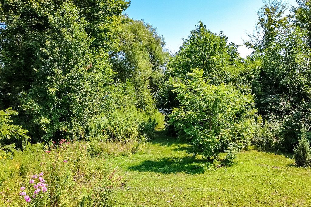 243 Champlain Road Property Photo 43
