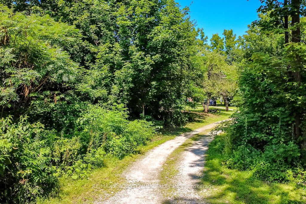 243 Champlain Road Property Photo 45