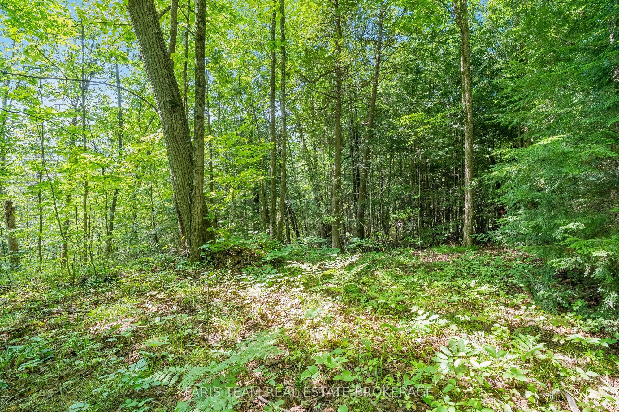 5609 Line 4 N Property Photo 6