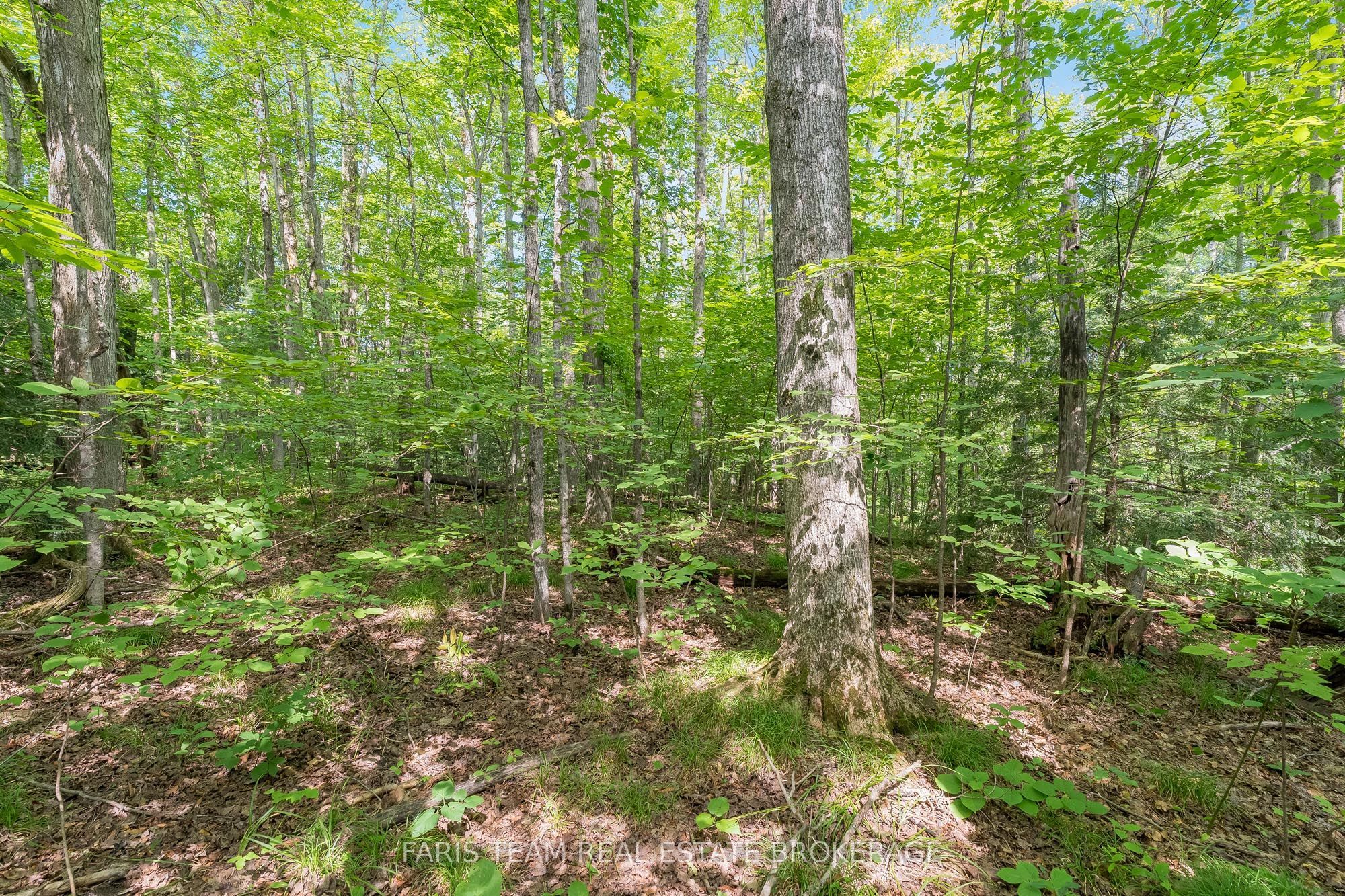 5609 Line 4 N Property Photo 7