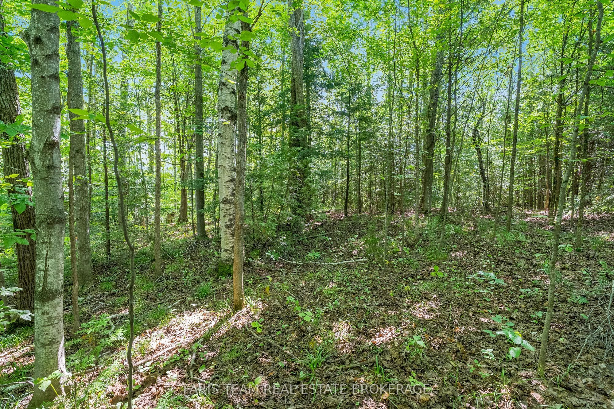 5609 Line 4 N Property Photo 8