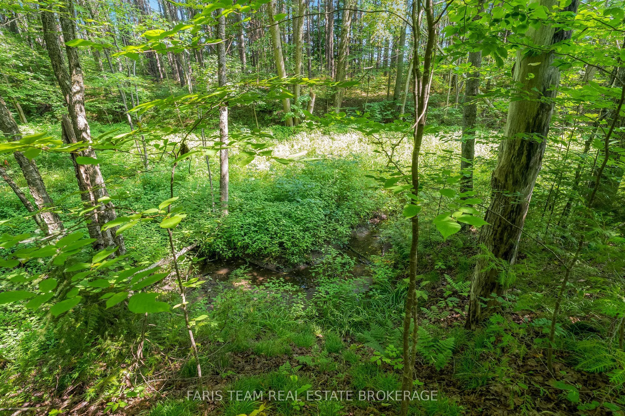5609 Line 4 N Property Photo 9