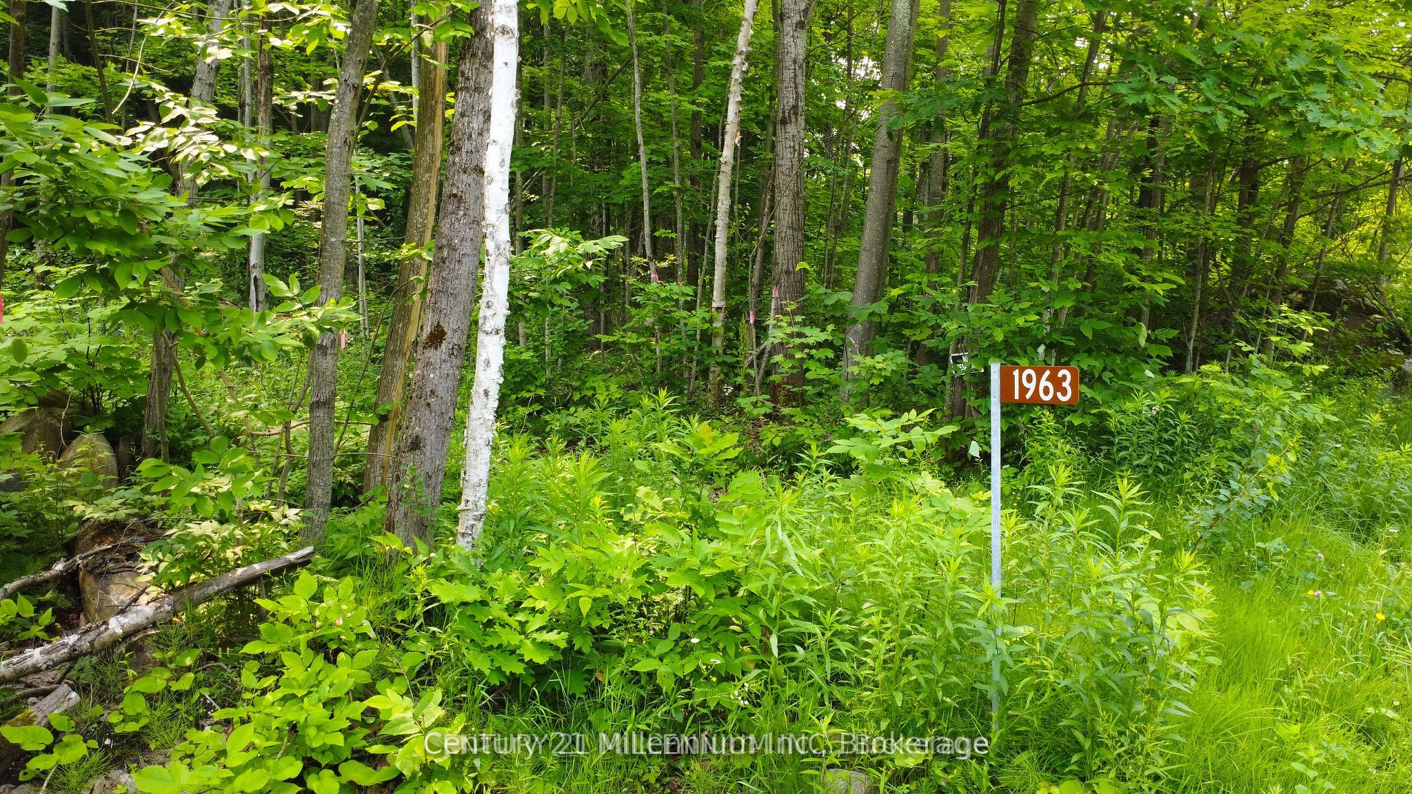 1963 Lot 52 Tiny Beaches Road N Property Photo 4