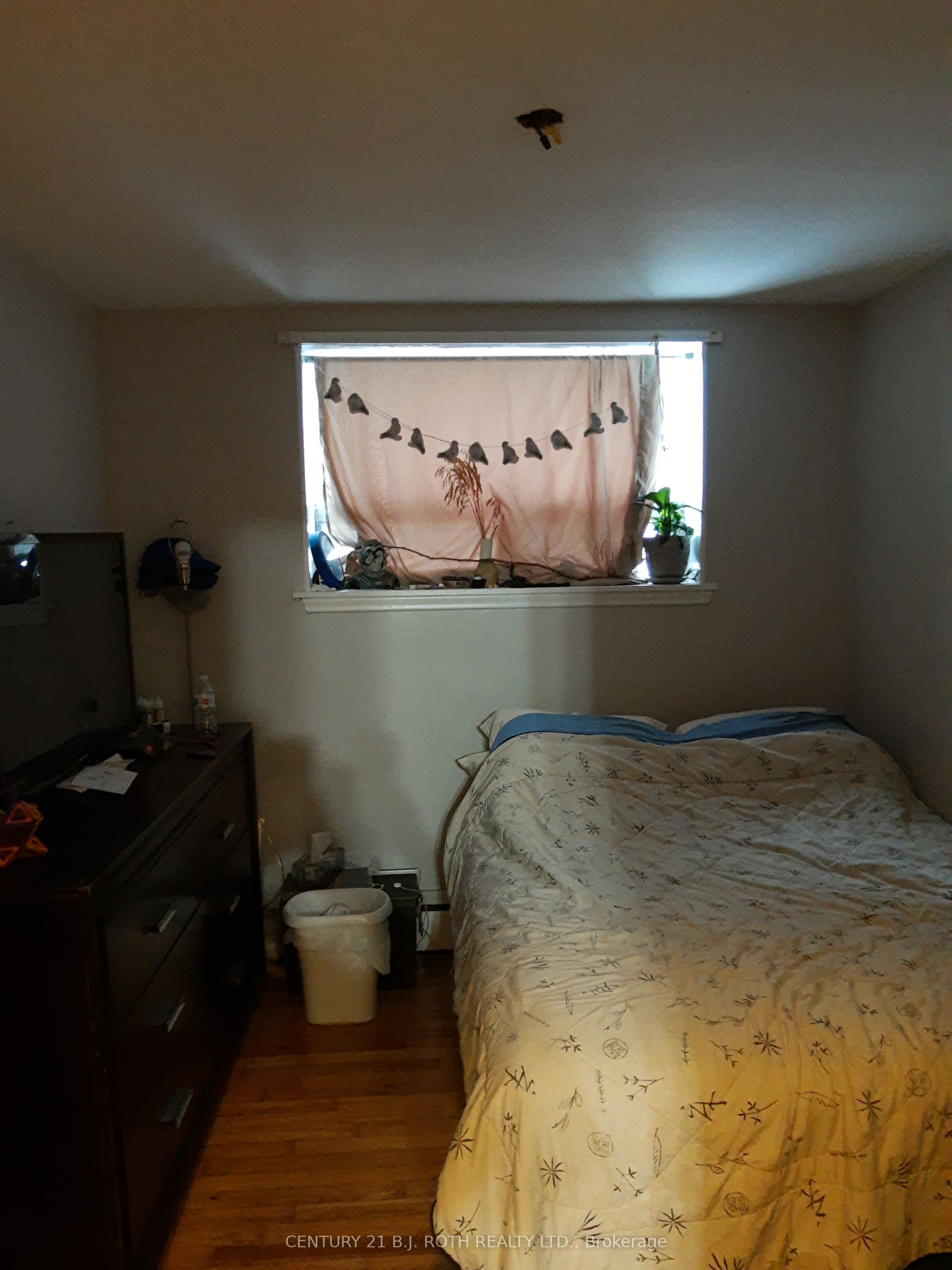 13 Queen Street 1 Property Photo 5
