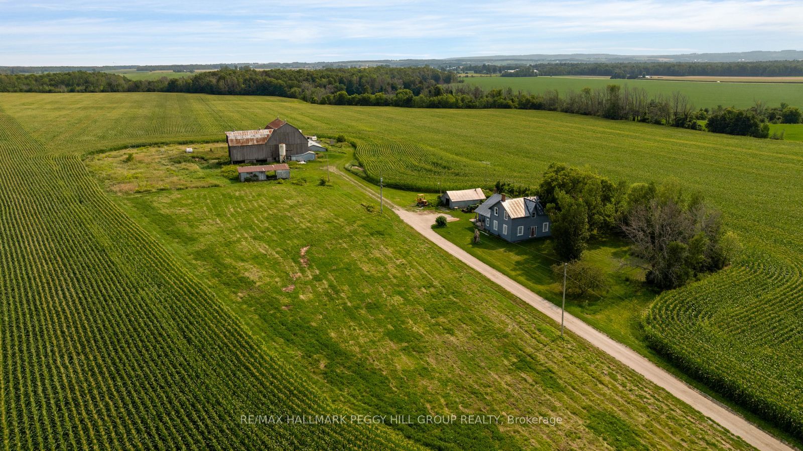 6331 26 Highway Property Photo 18