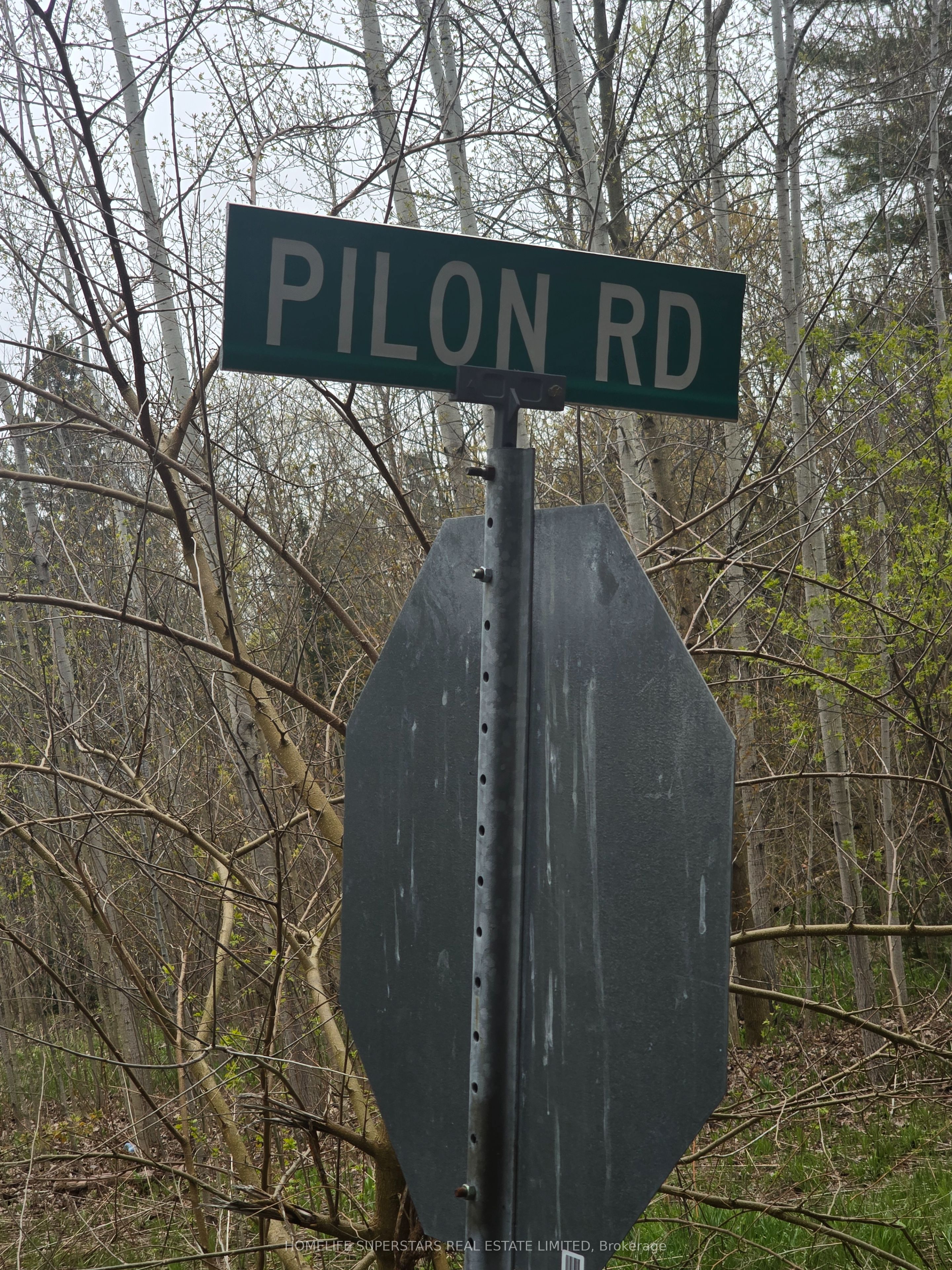 Lt 147 Pilon Road Property Photo 12