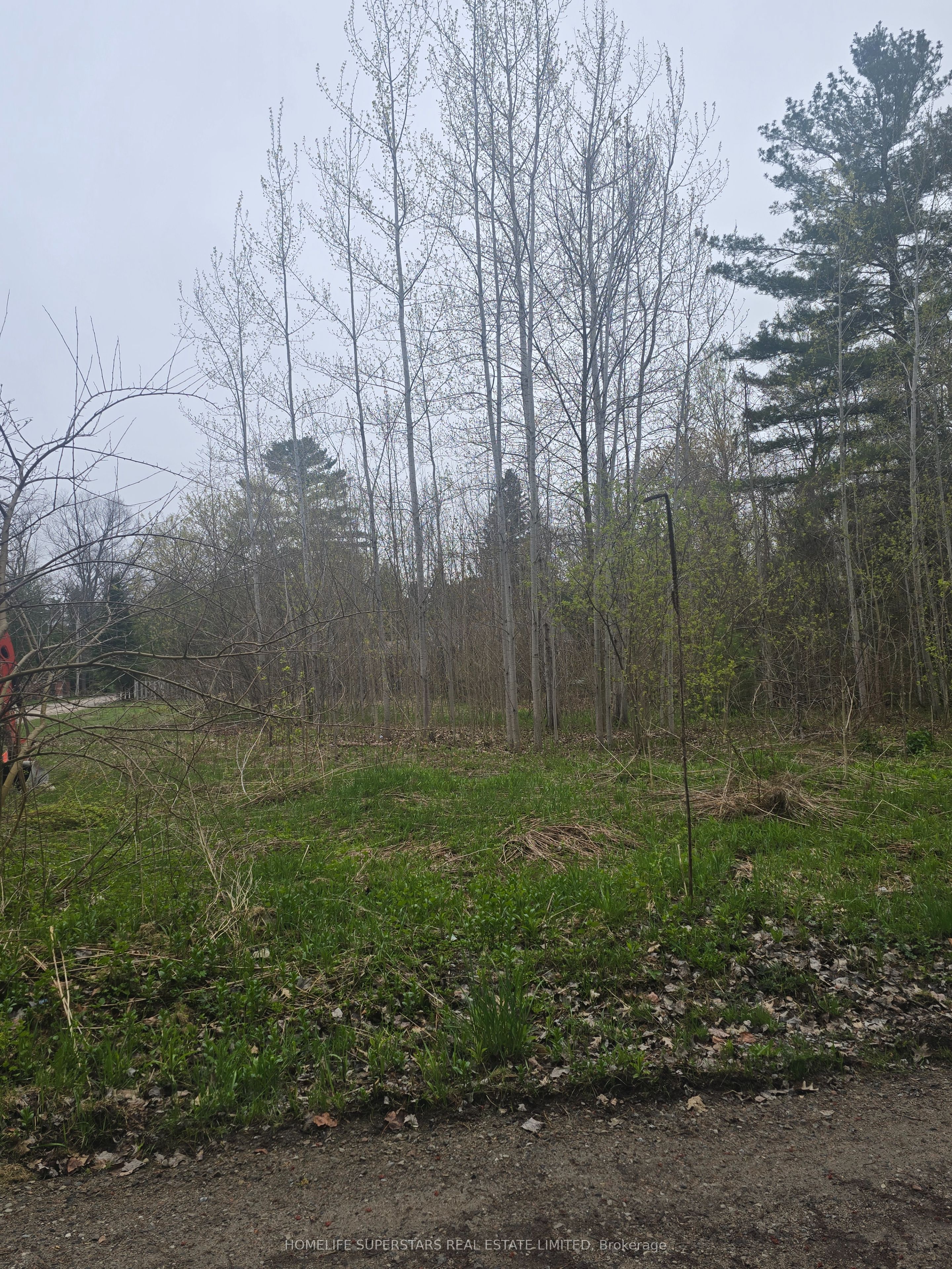 Lt 147 Pilon Road Property Photo 13