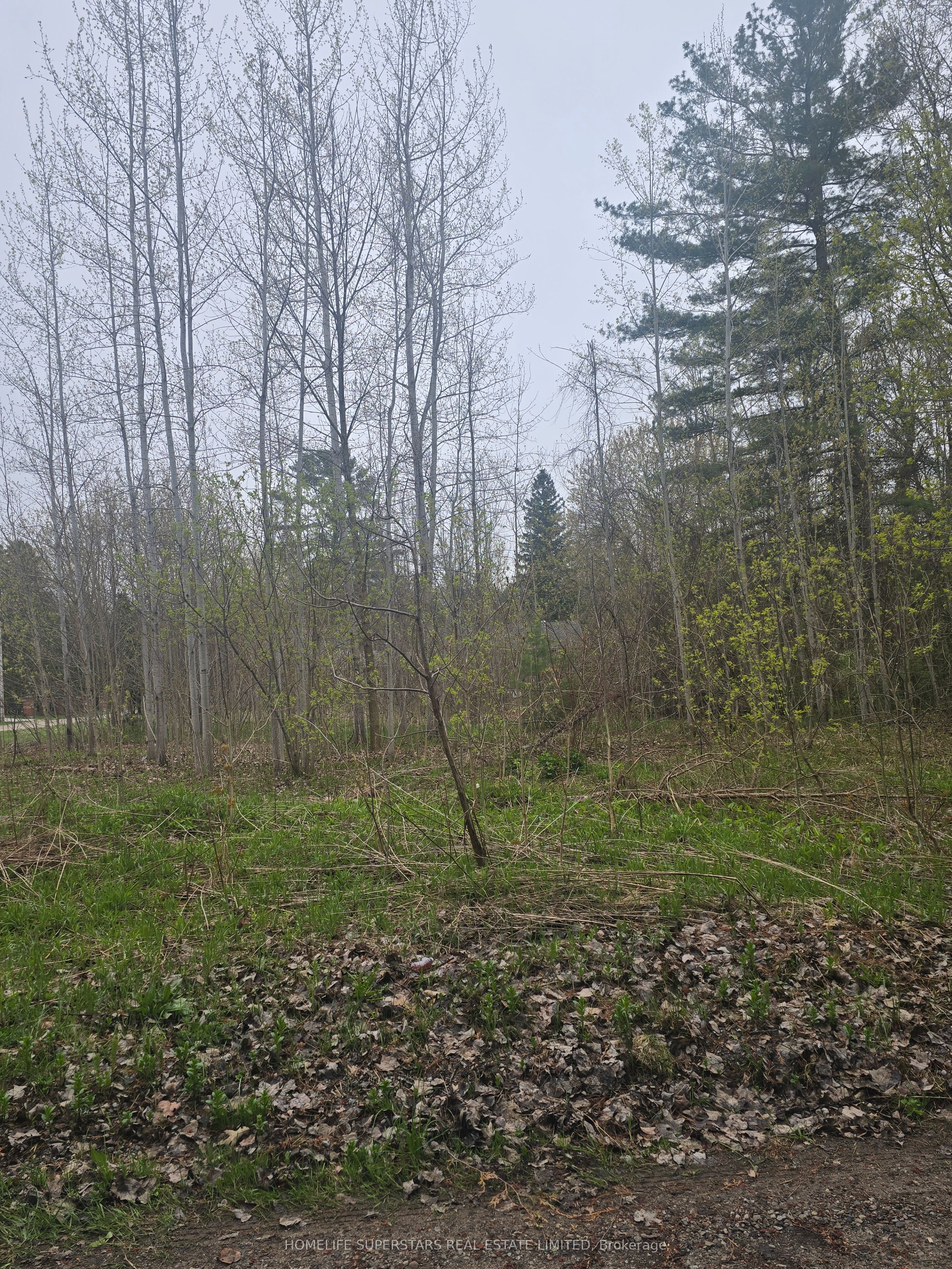Lt 147 Pilon Road Property Photo 15