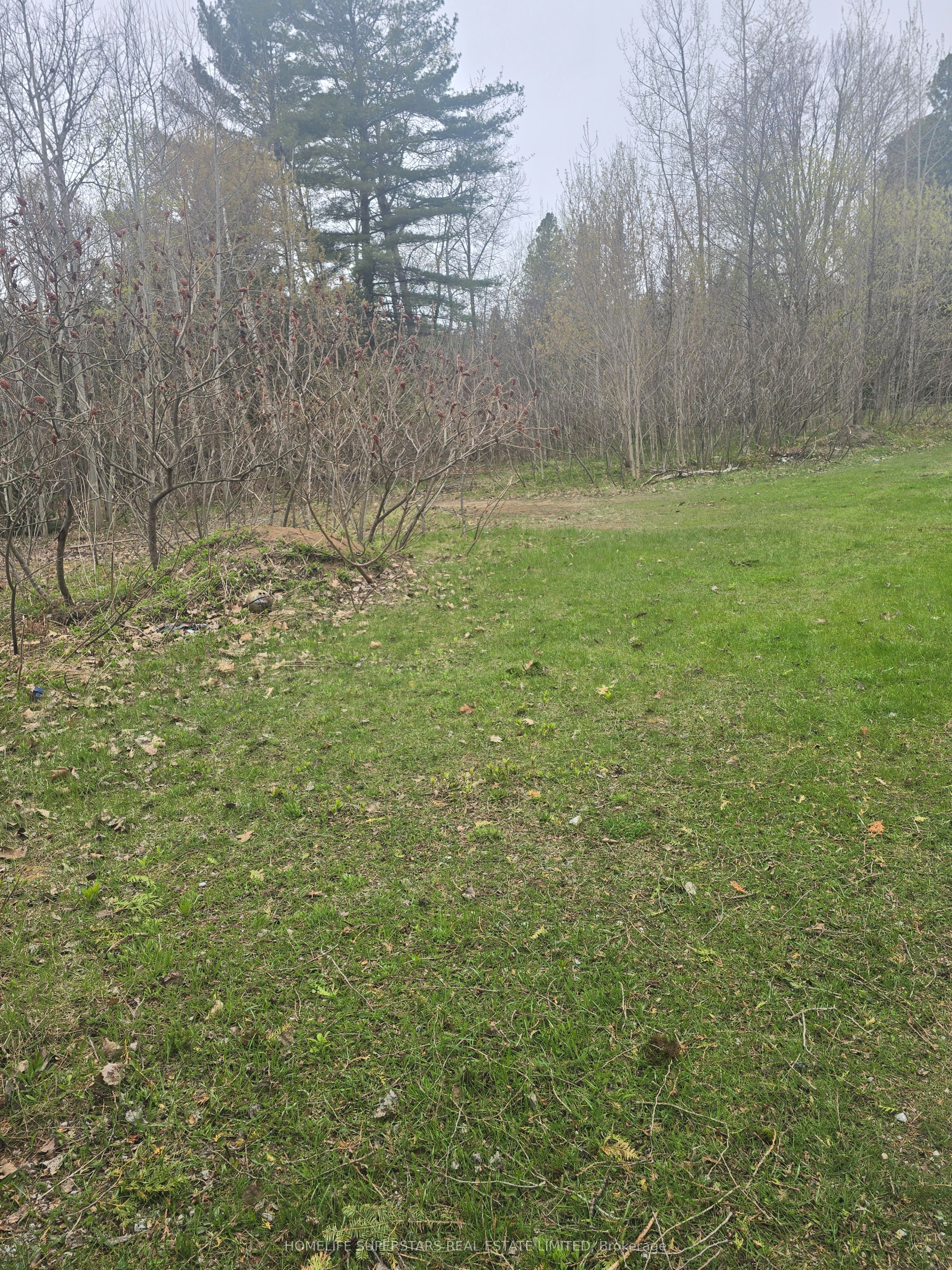 Lt 147 Pilon Road Property Photo 17