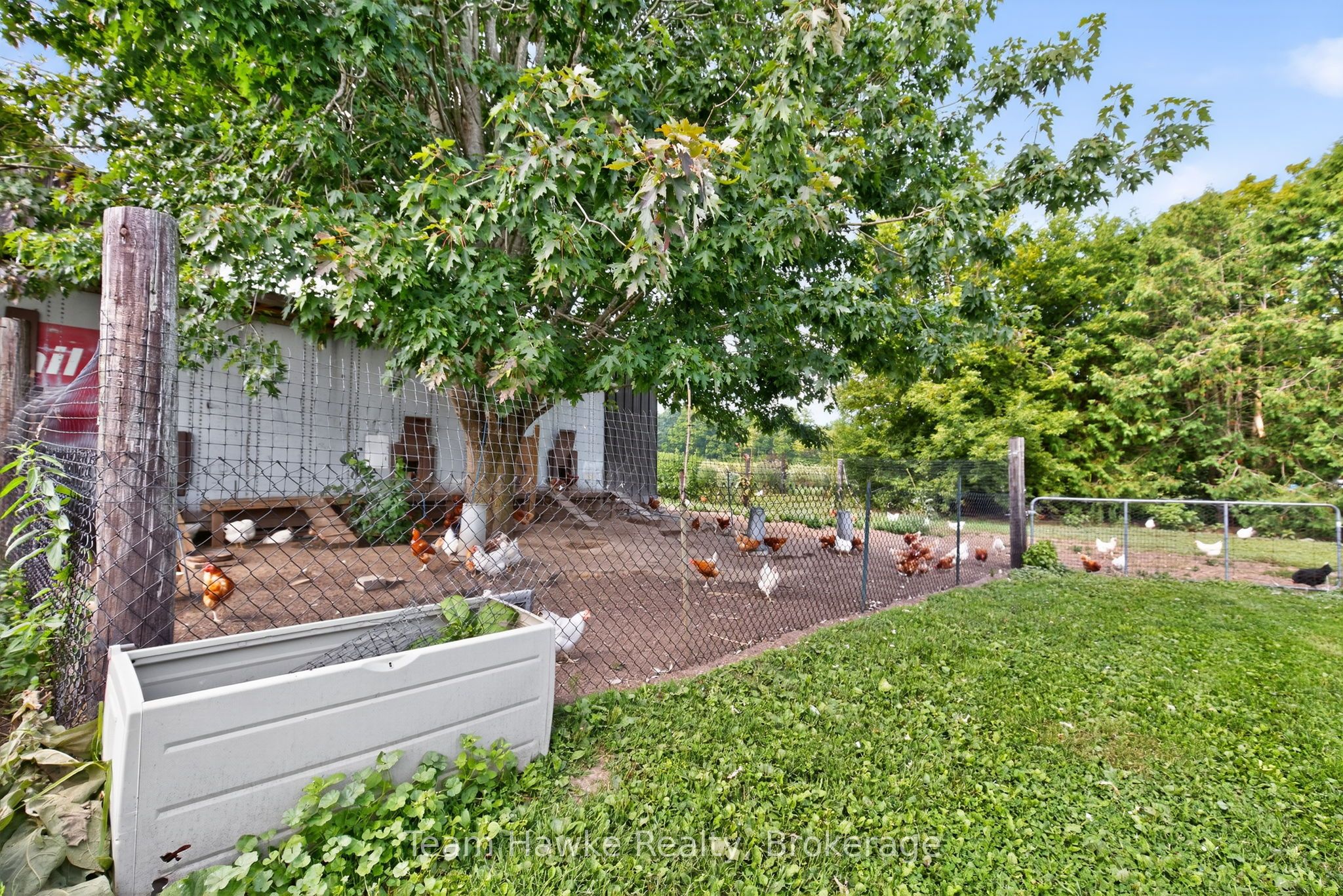 8870 County 93 Road Property Photo 48