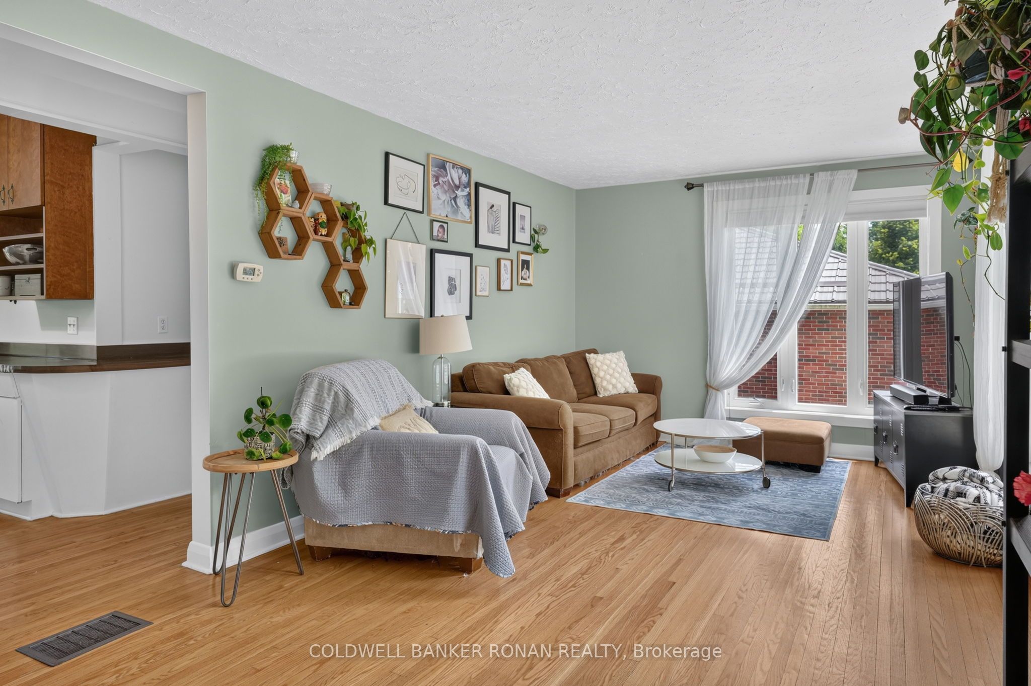 9 Vine Street Property Photo 8