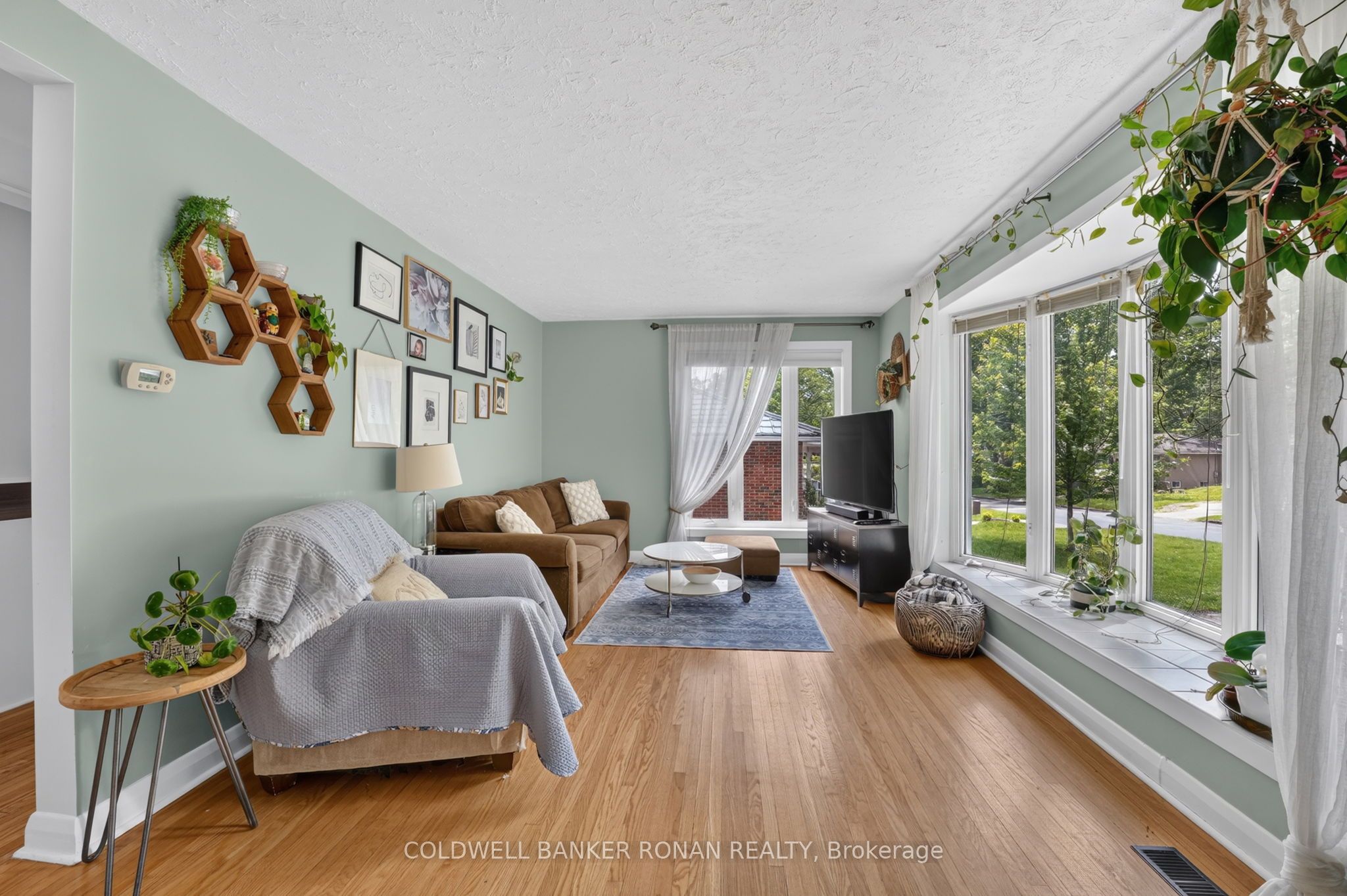 9 Vine Street Property Photo 10