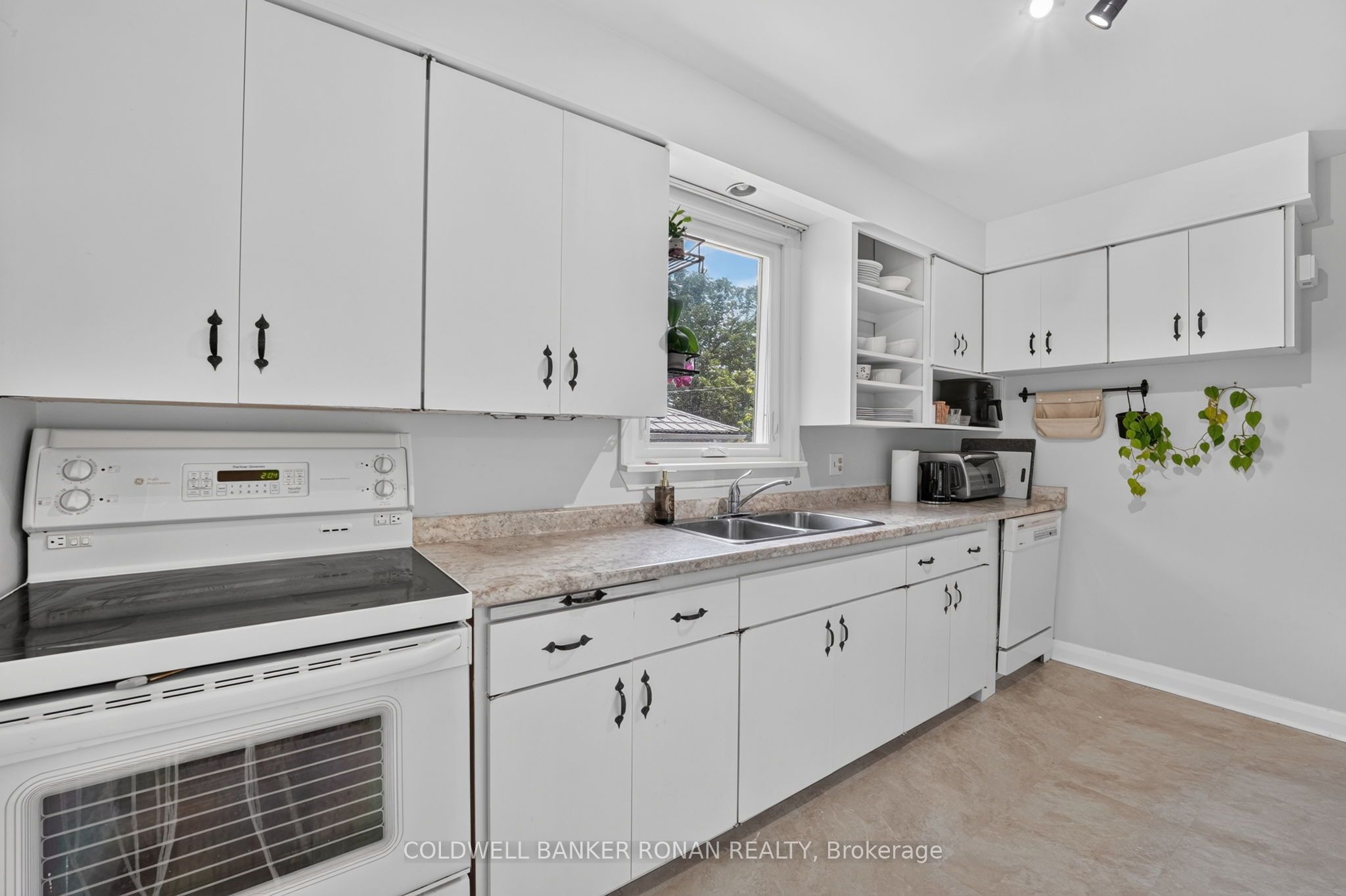 9 Vine Street Property Photo 21