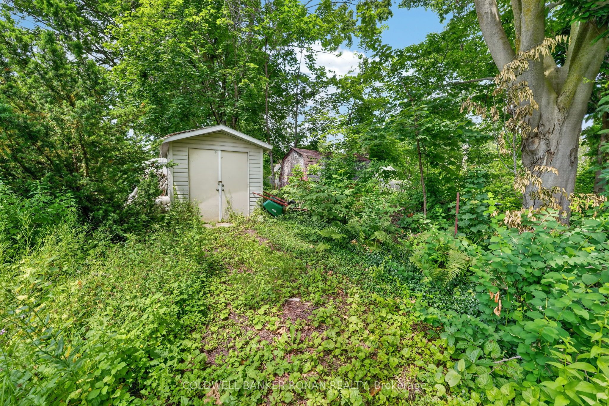 9 Vine Street Property Photo 46