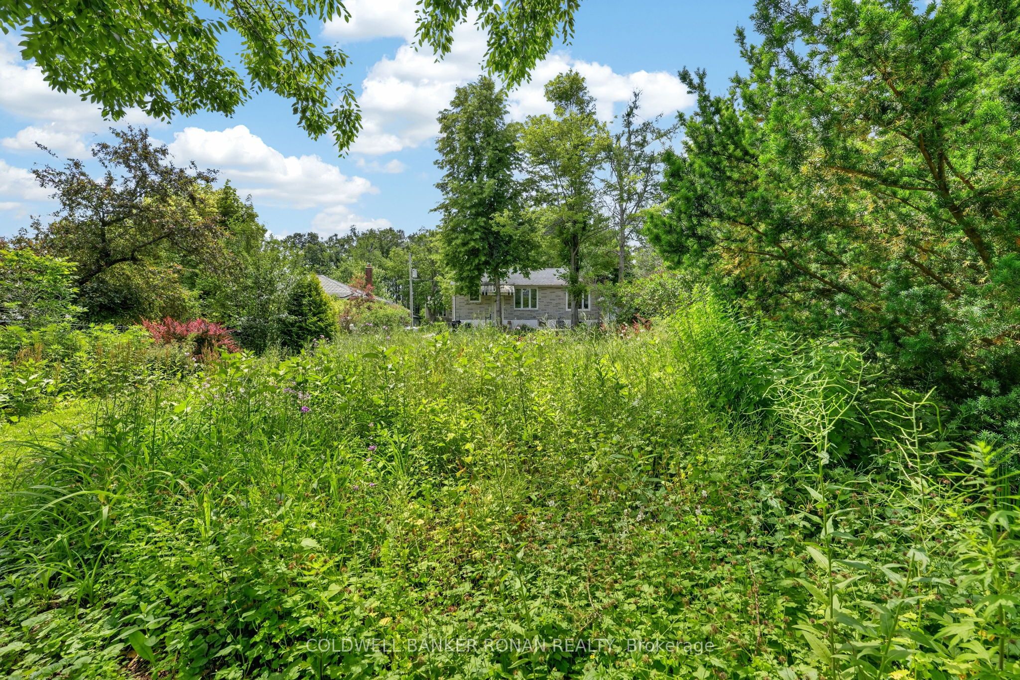9 Vine Street Property Photo 47