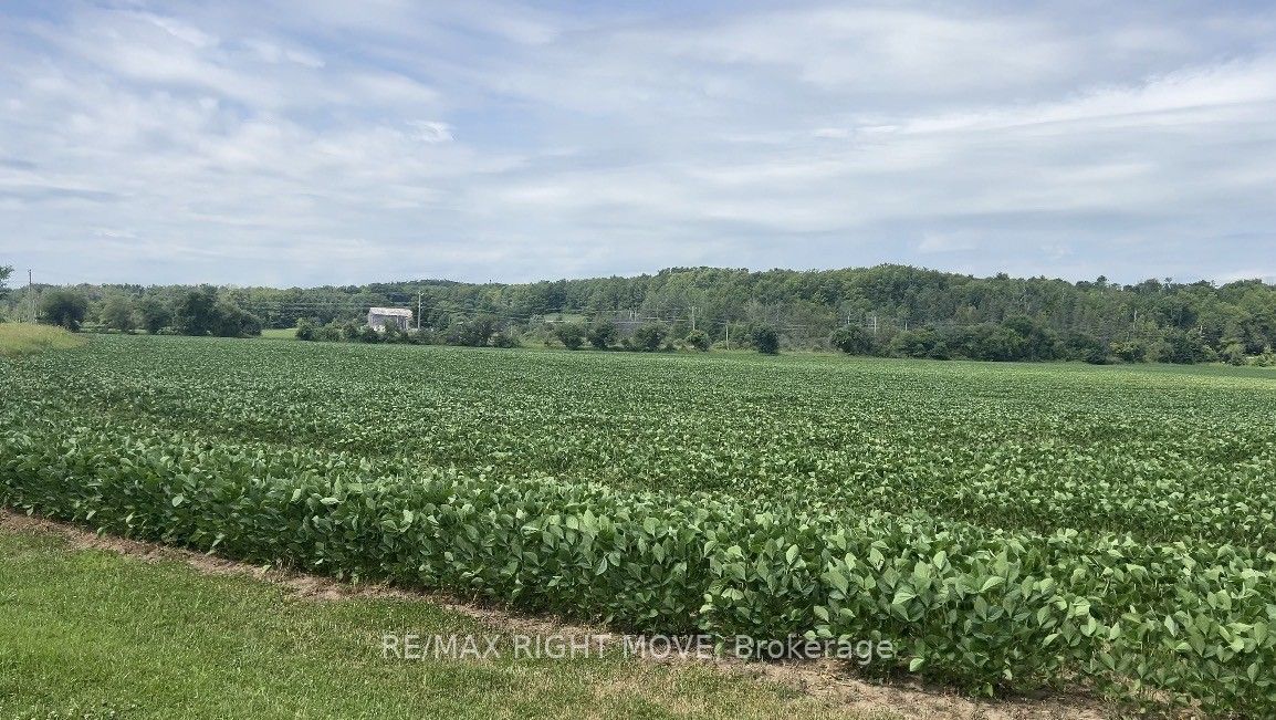 4201 Line 8 Line N Property Photo 26