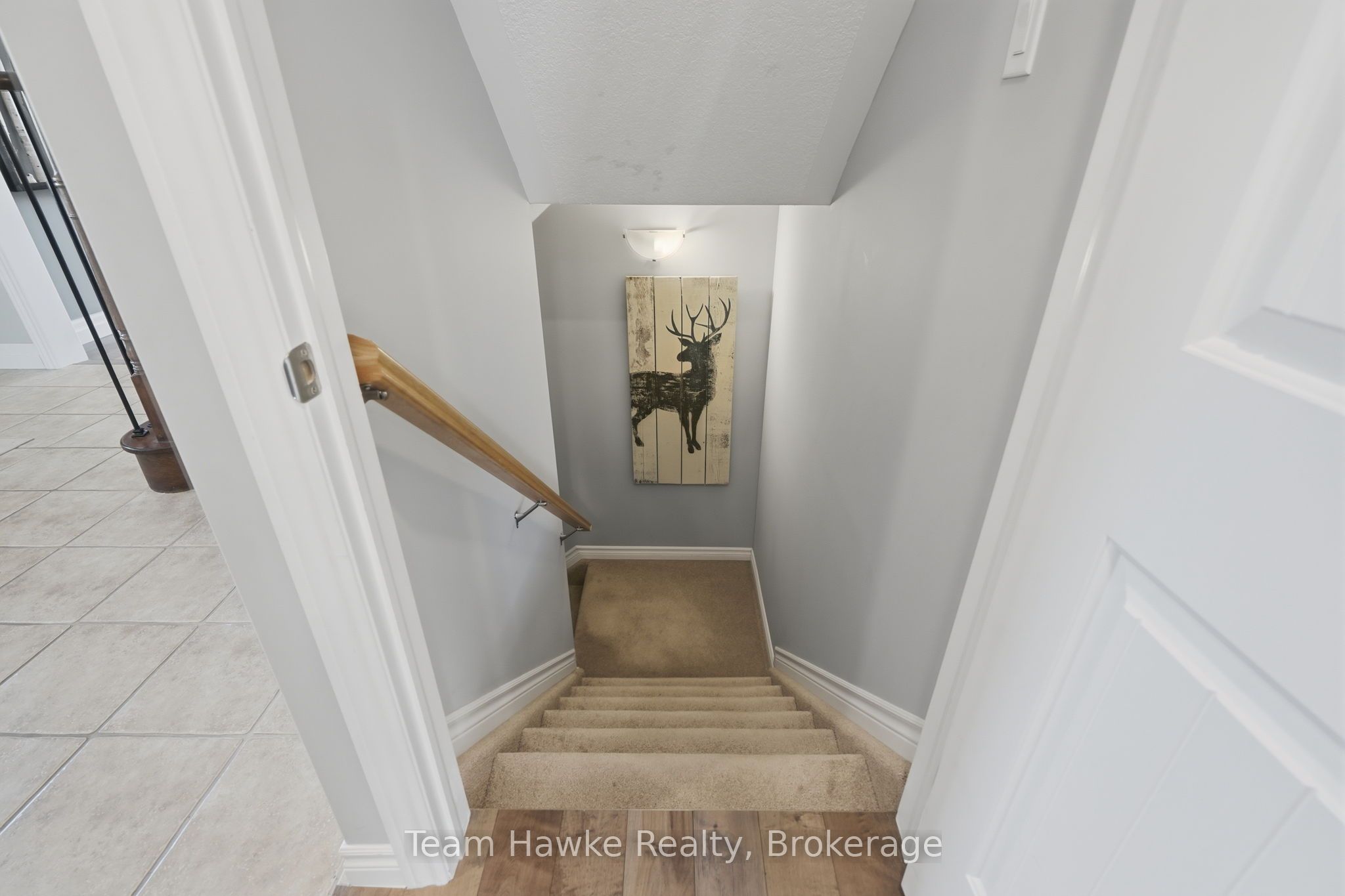 3 Sheppard Drive Property Photo 31