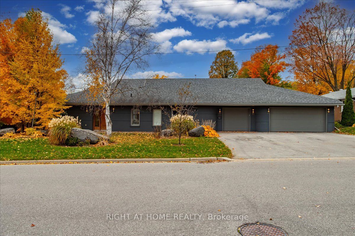 88 Cook Street Property Photo 1