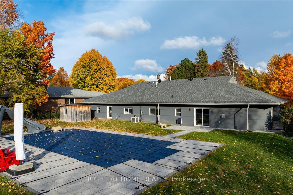 88 Cook Street Property Photo 33