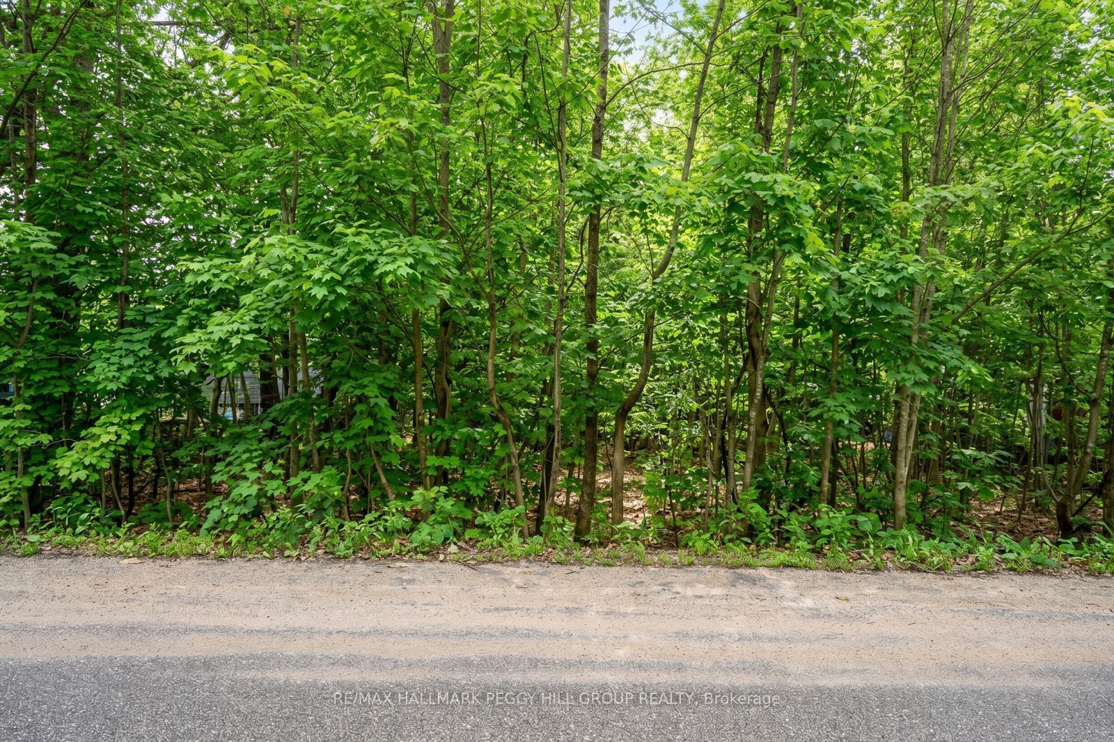 17 Valleyview Drive Property Photo 3