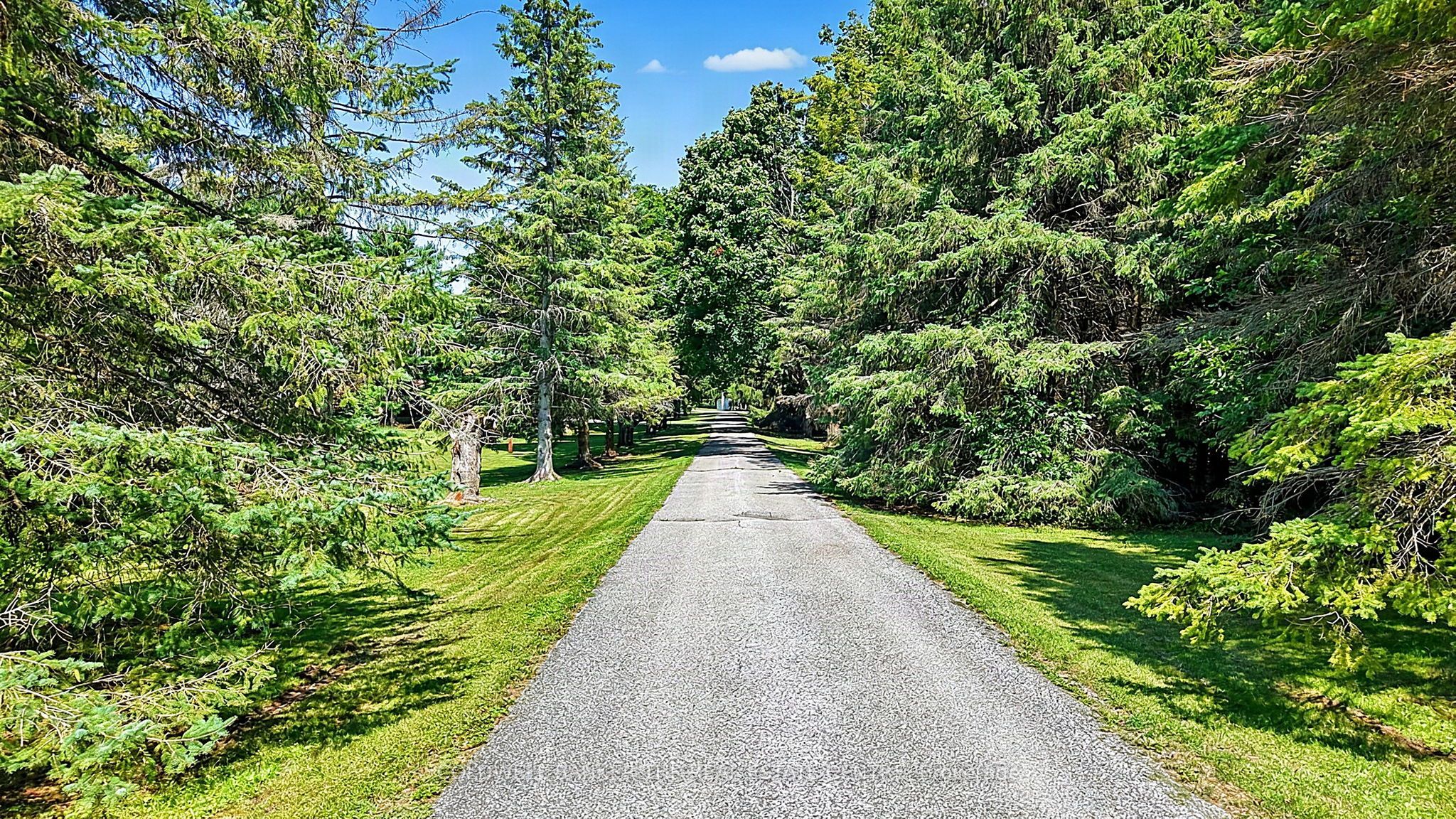 S13704386 Property Photo 5