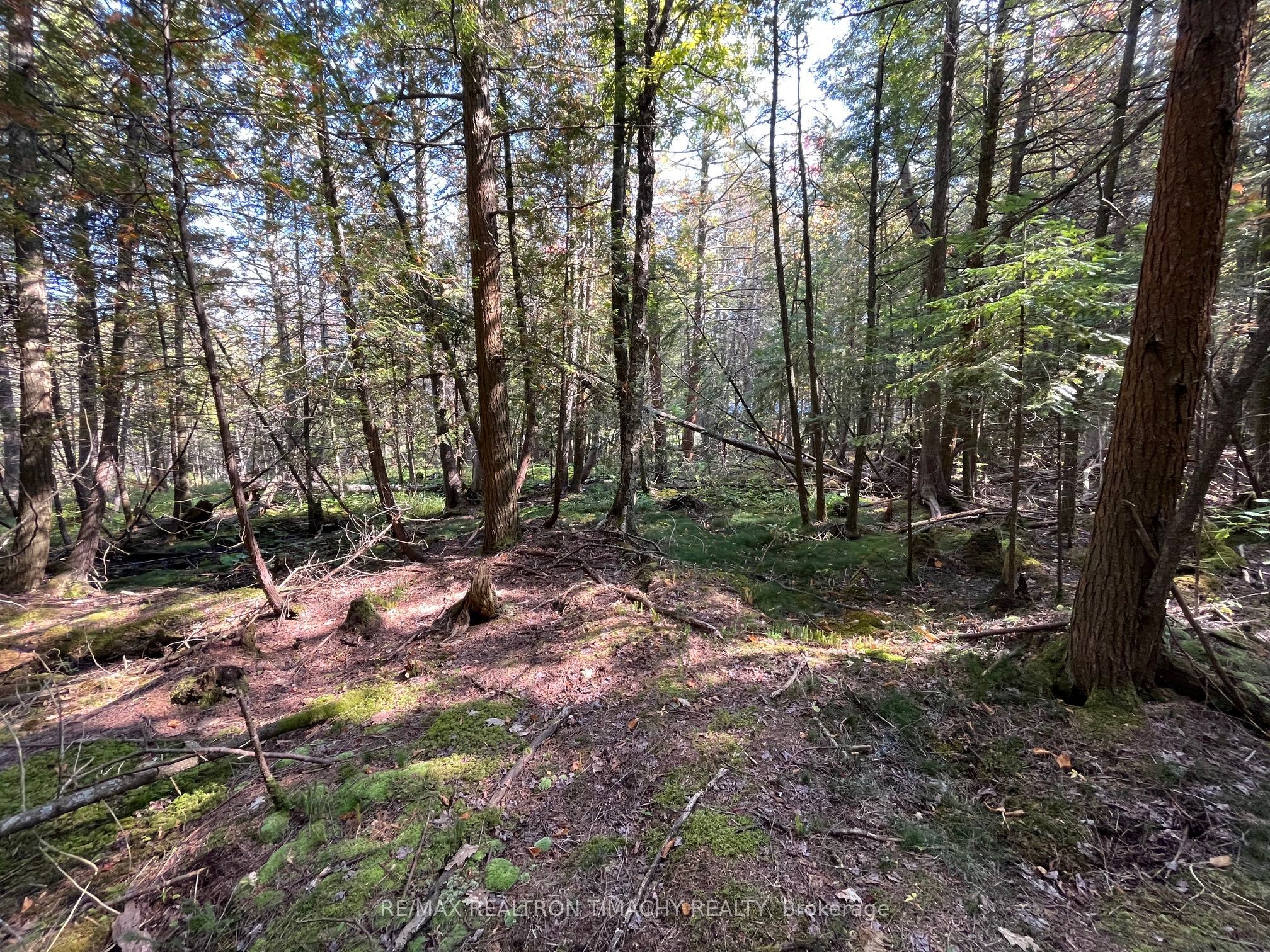 Lot 25 Champlain Road Property Photo 1