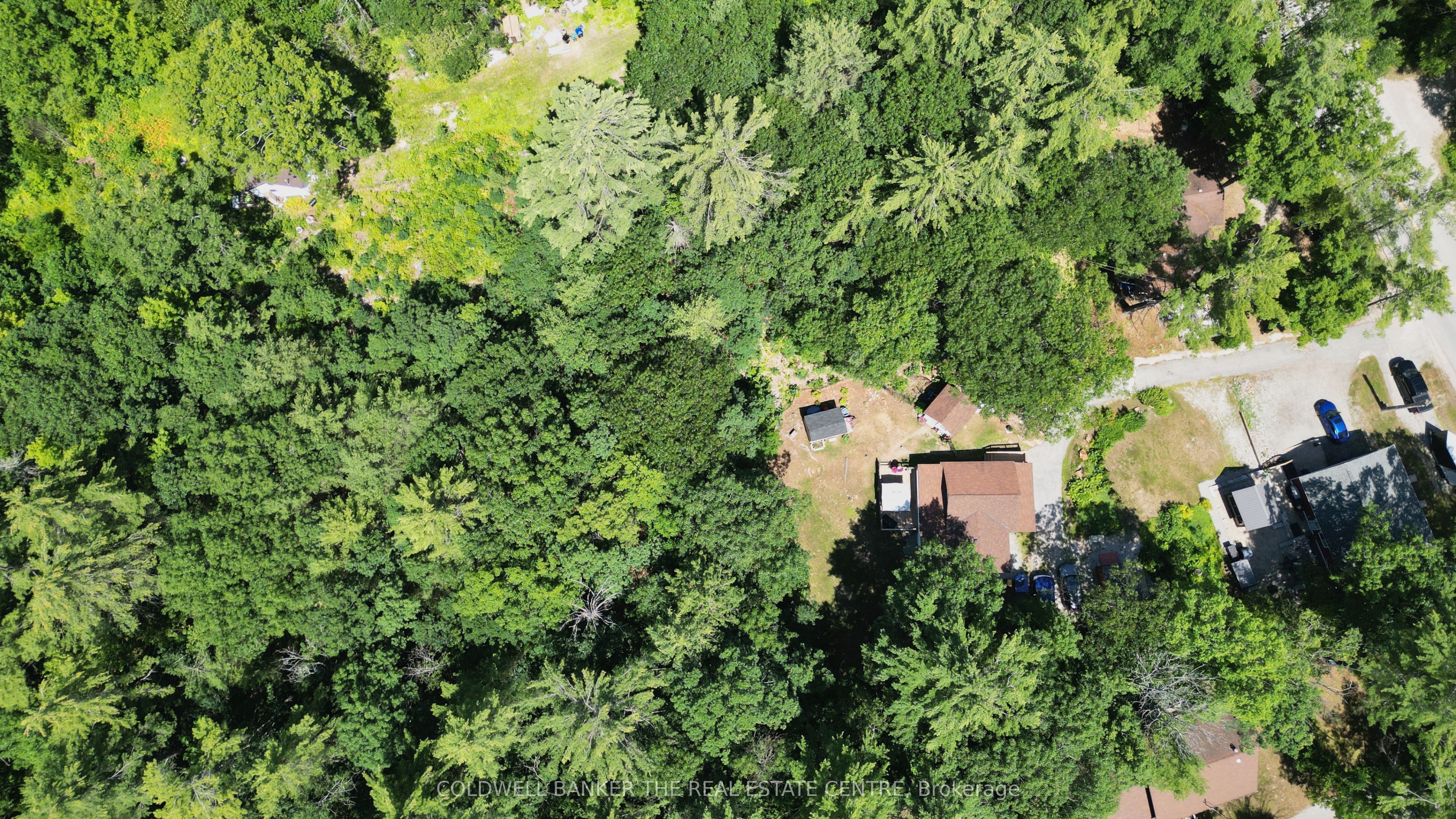 5594 Upper Big Chute Road Property Photo 4