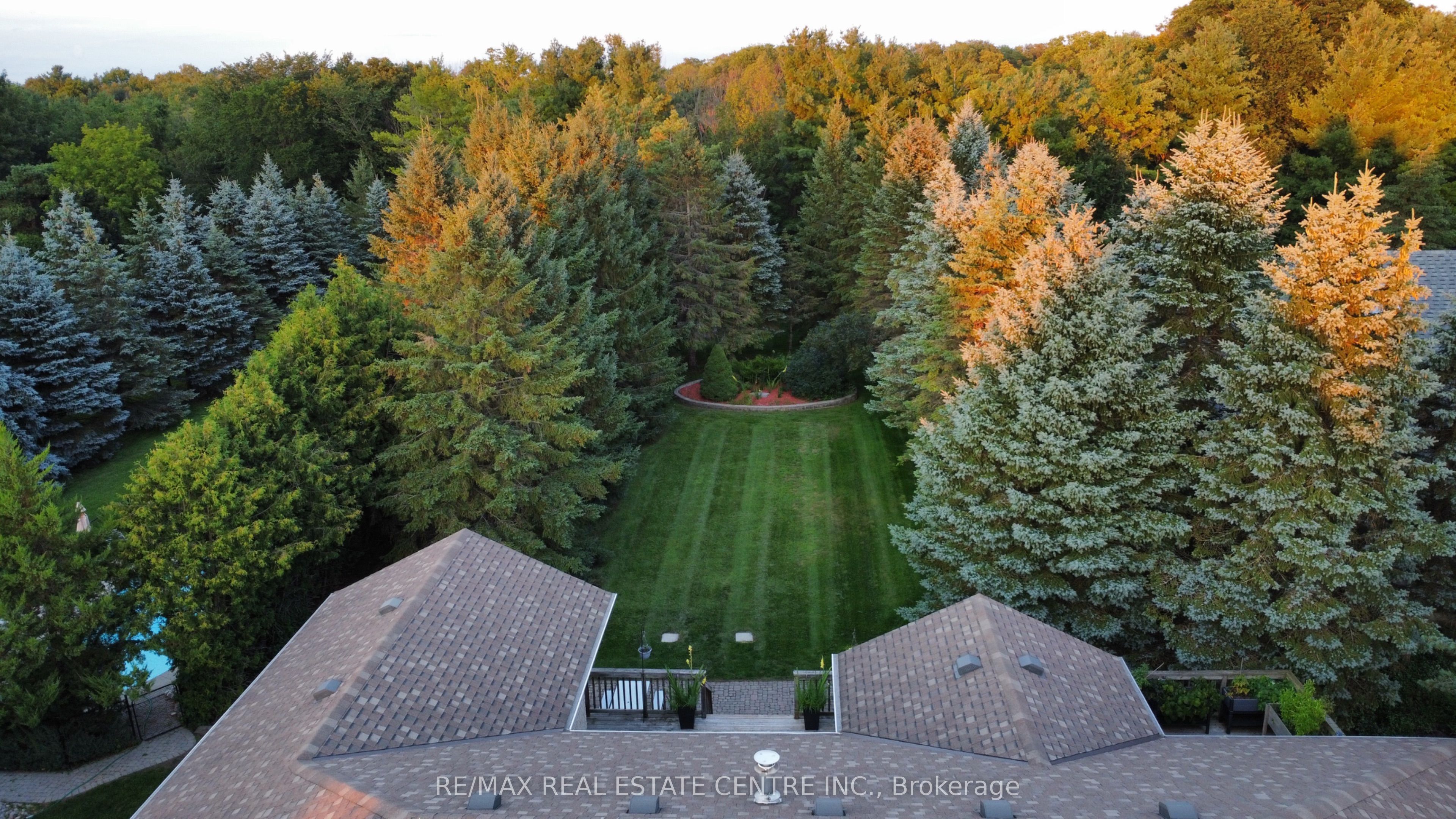 1603 Wedgewood Drive Property Photo 4