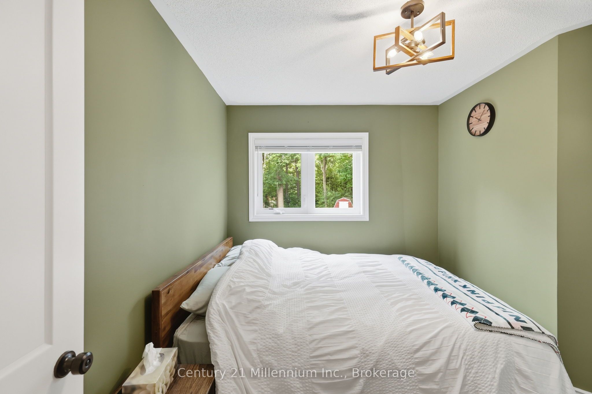 38 Emilio Place Property Photo 26