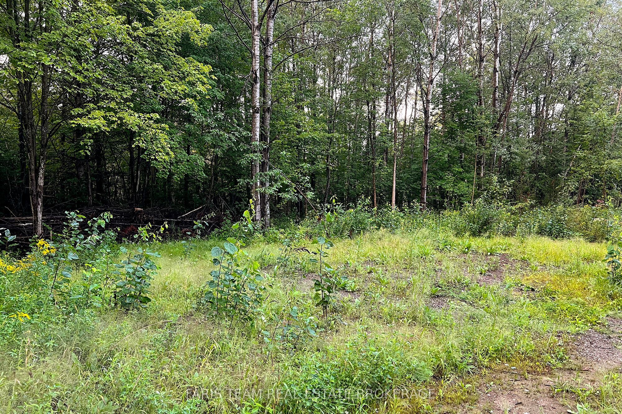 2444 Fairgrounds Road Property Photo 20