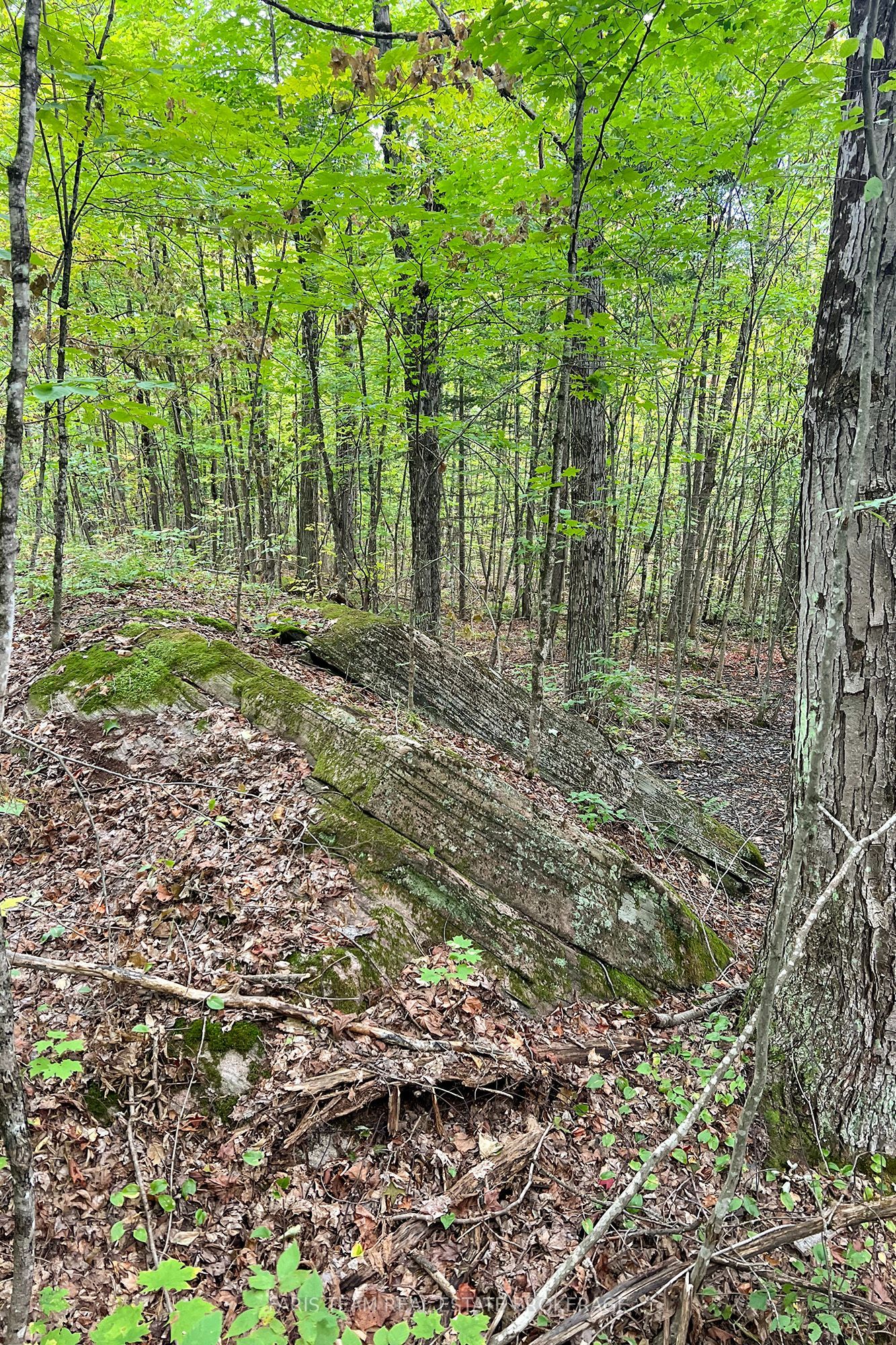 2444 Fairgrounds Road Property Photo 21