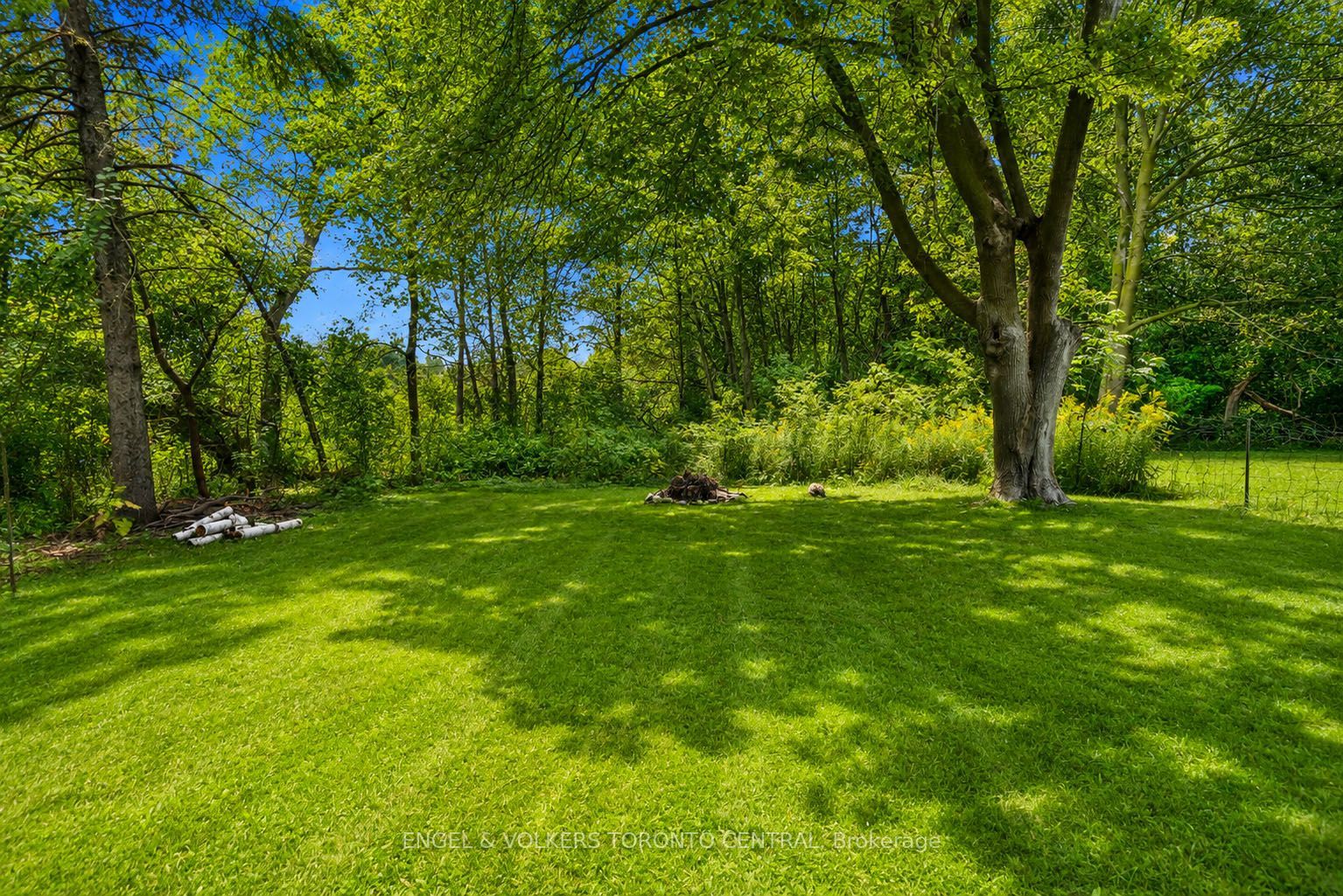 204 Cox Mill Road Property Photo 2