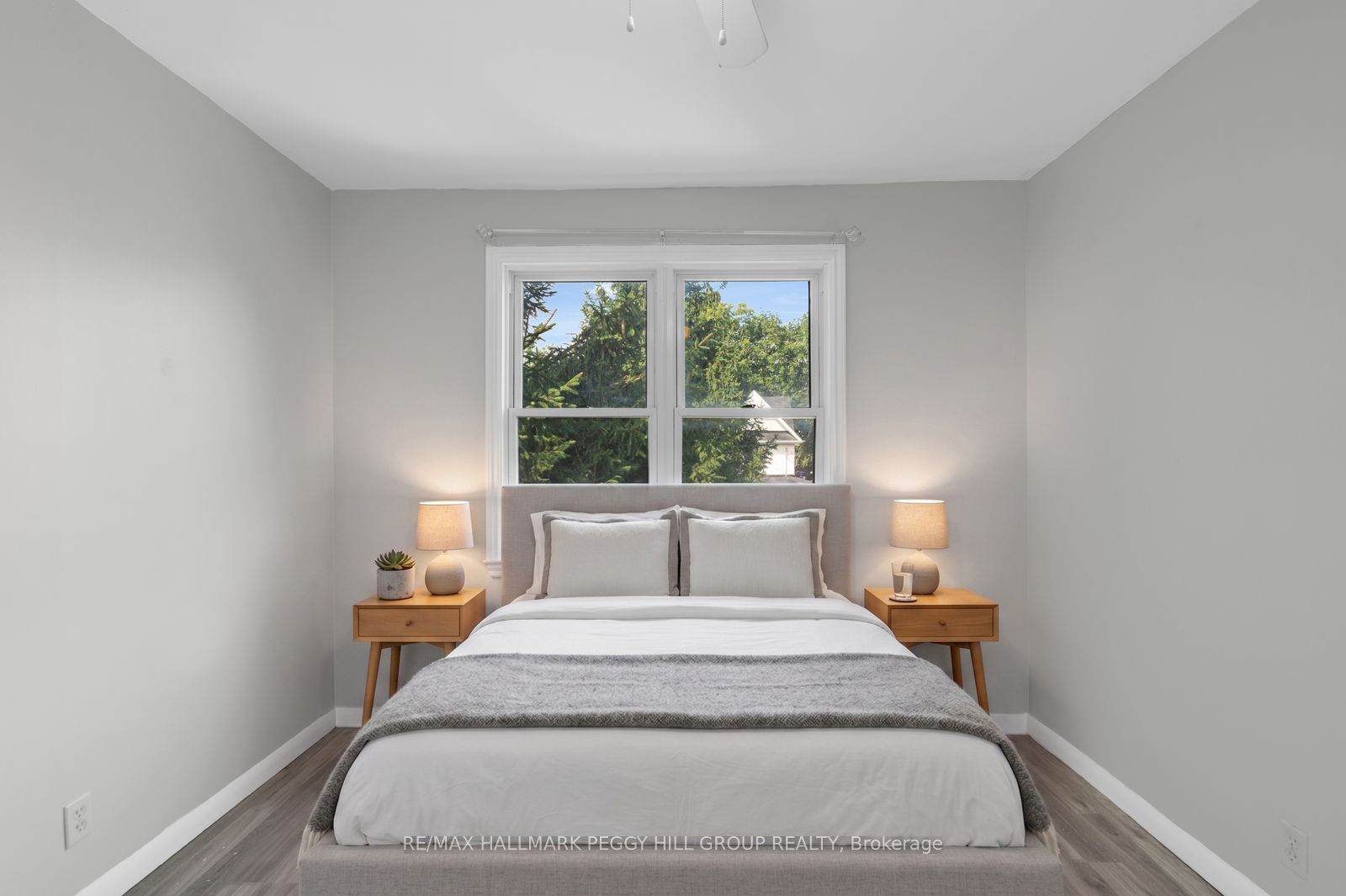 19 Alfred Street Property Photo 13