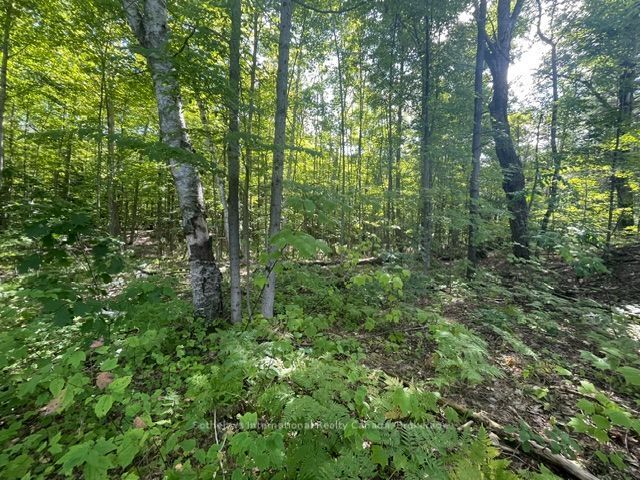 7859 Pineridge Road Property Photo 2